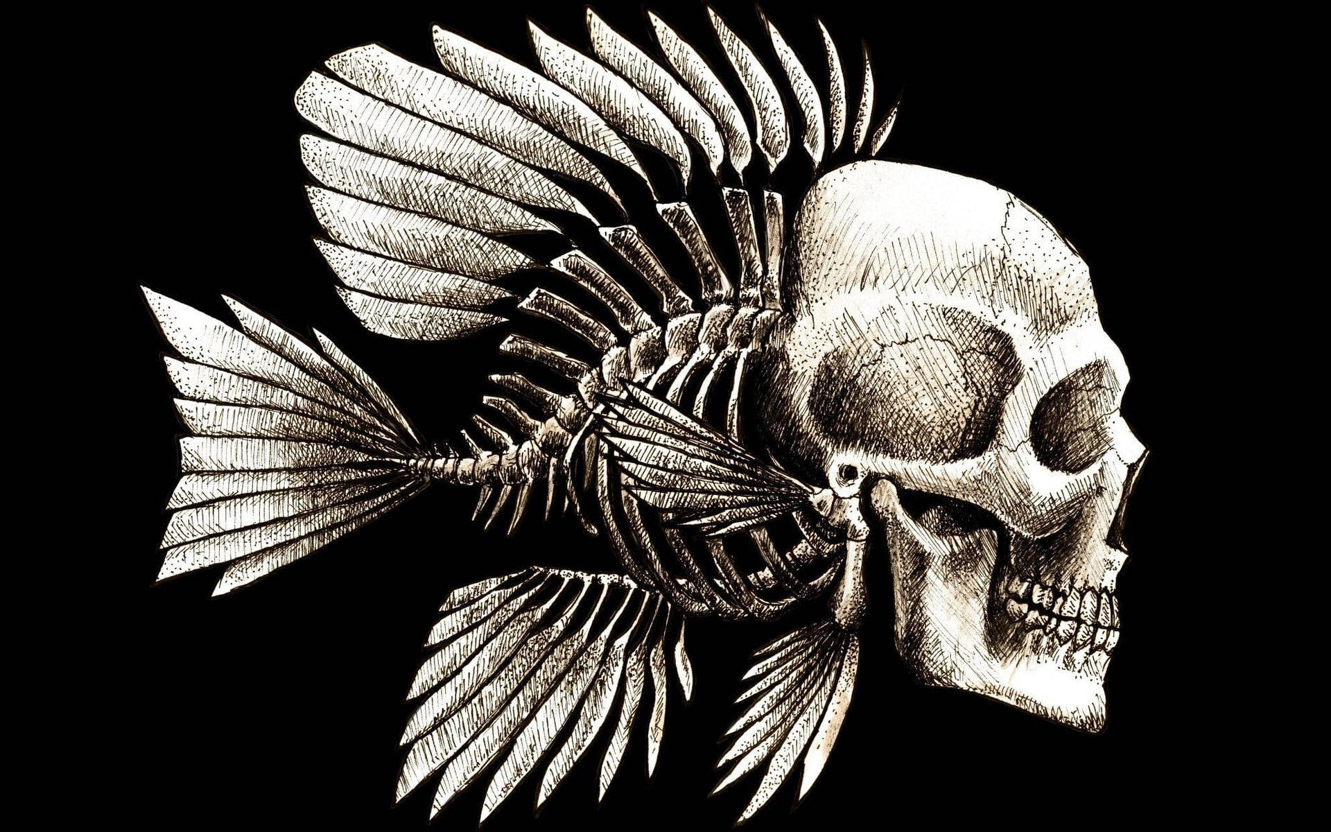 骷髏動圖 桌布 壁紙 — 一幅詳細的黑白插圖，描繪魚骨與人類頭骨融合在深色背景上。