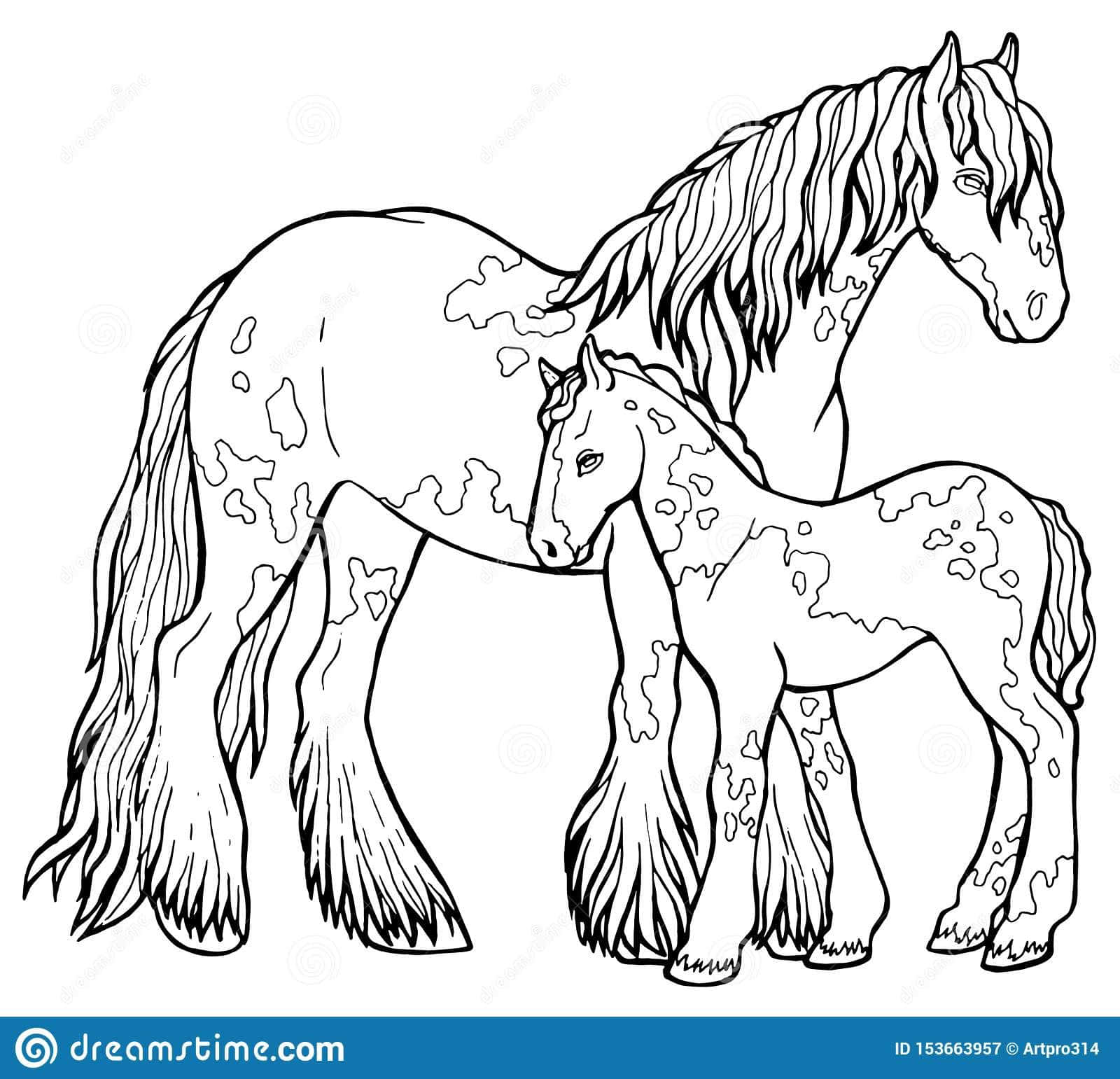 Horse Coloring 桌布 壁紙 — 一幅詳細的黑白線條畫，描繪一匹有斑點的成年馬和馬駒緊密地站在一起。