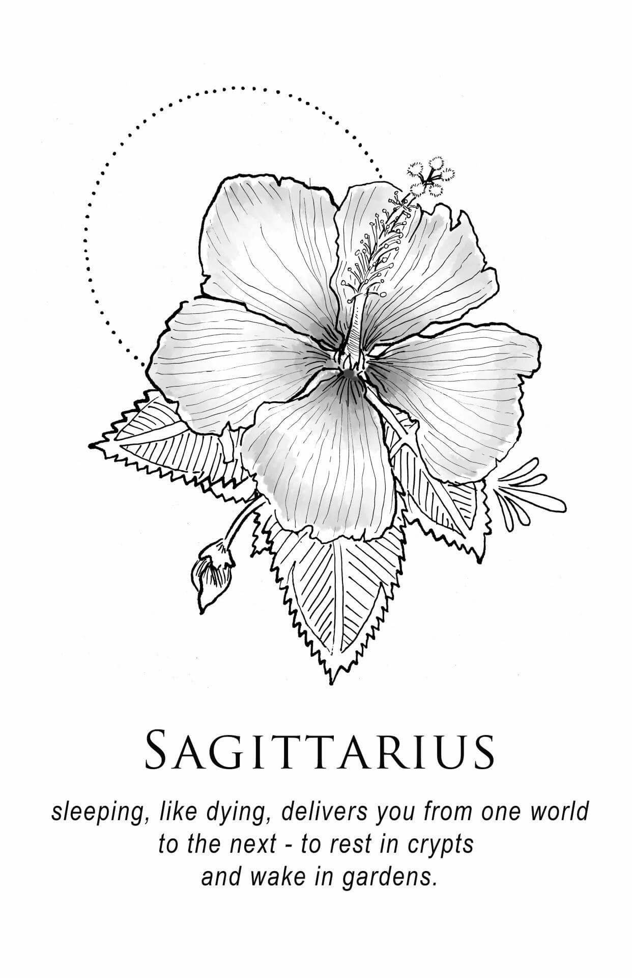 sagittarius 桌布 壁紙 — 一幅詳細的黑白線條畫，描繪一朵芙蓉花，帶有葉子和上方點狀圓形輪廓。