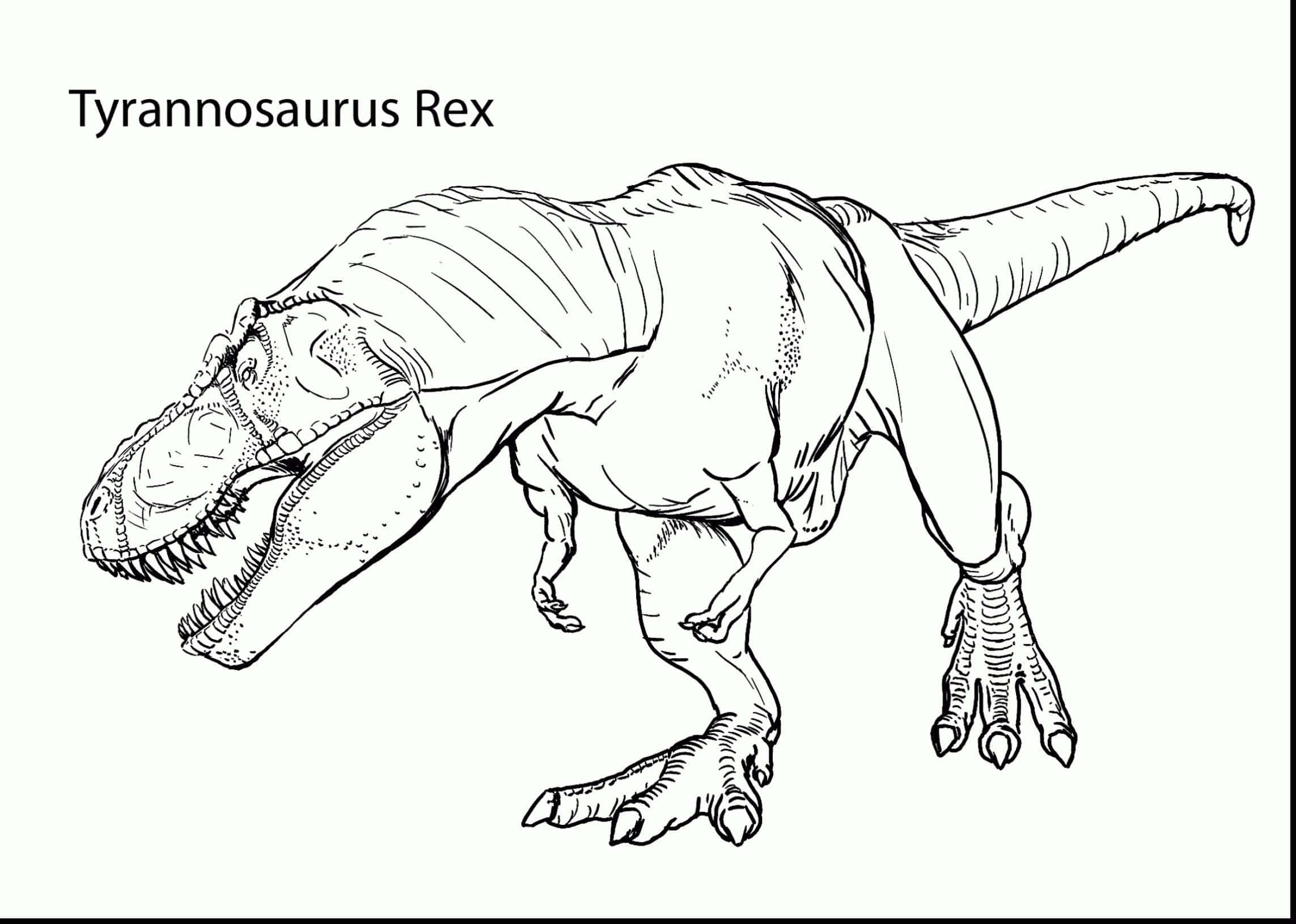 Dinosaur Drawing 桌布 壁紙 — 一幅詳細的黑白線條畫，描繪一隻暴龍在動態側面姿勢中。