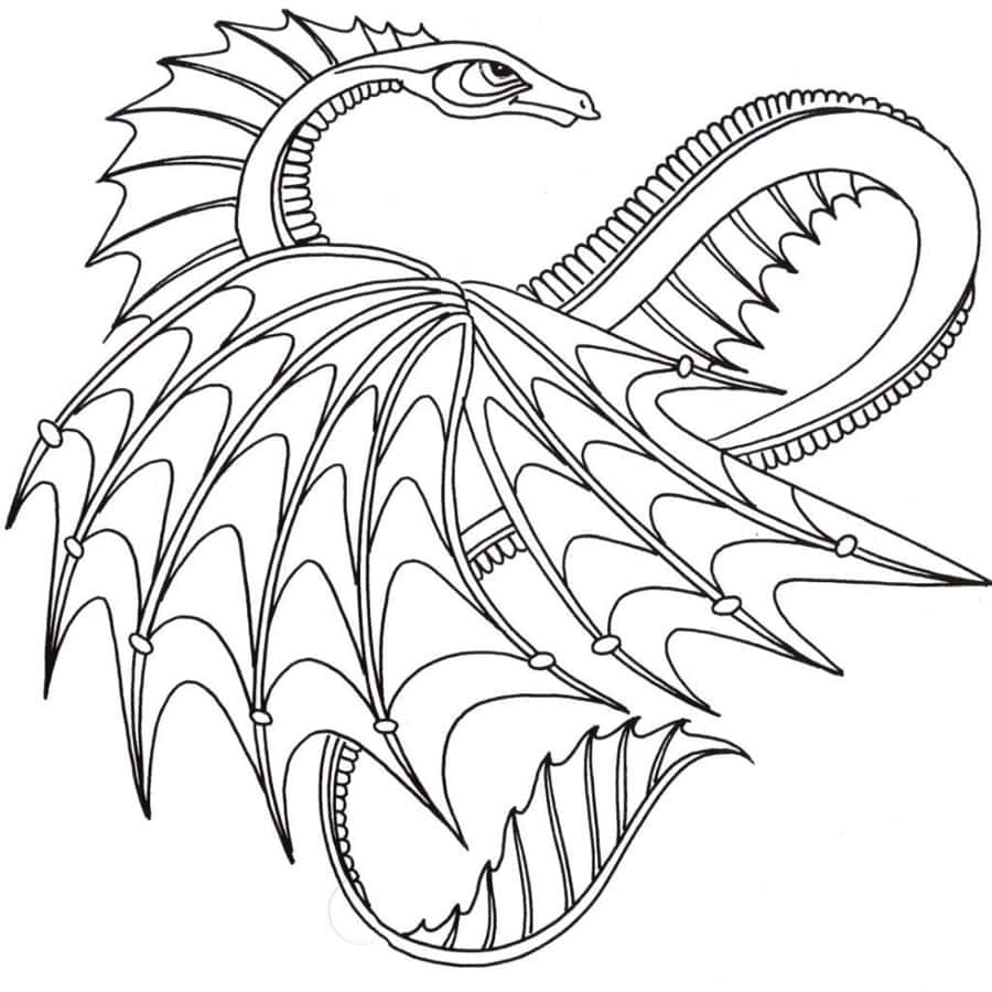 Dragon Coloring 桌布 壁紙 — 一幅詳細的黑白線條畫，描繪了一條風格化的龍，帶有複雜的翅膀圖案和彎曲的身體。