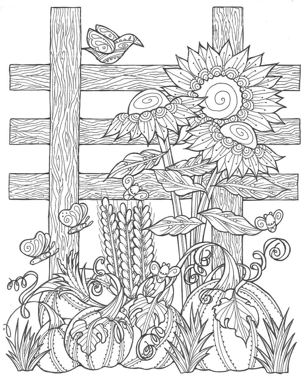 Fall Coloring 桌布 壁紙 — 一幅詳細的黑白線條畫，描繪了向日葵、南瓜和蝴蝶，背景是花園中的木柵欄。