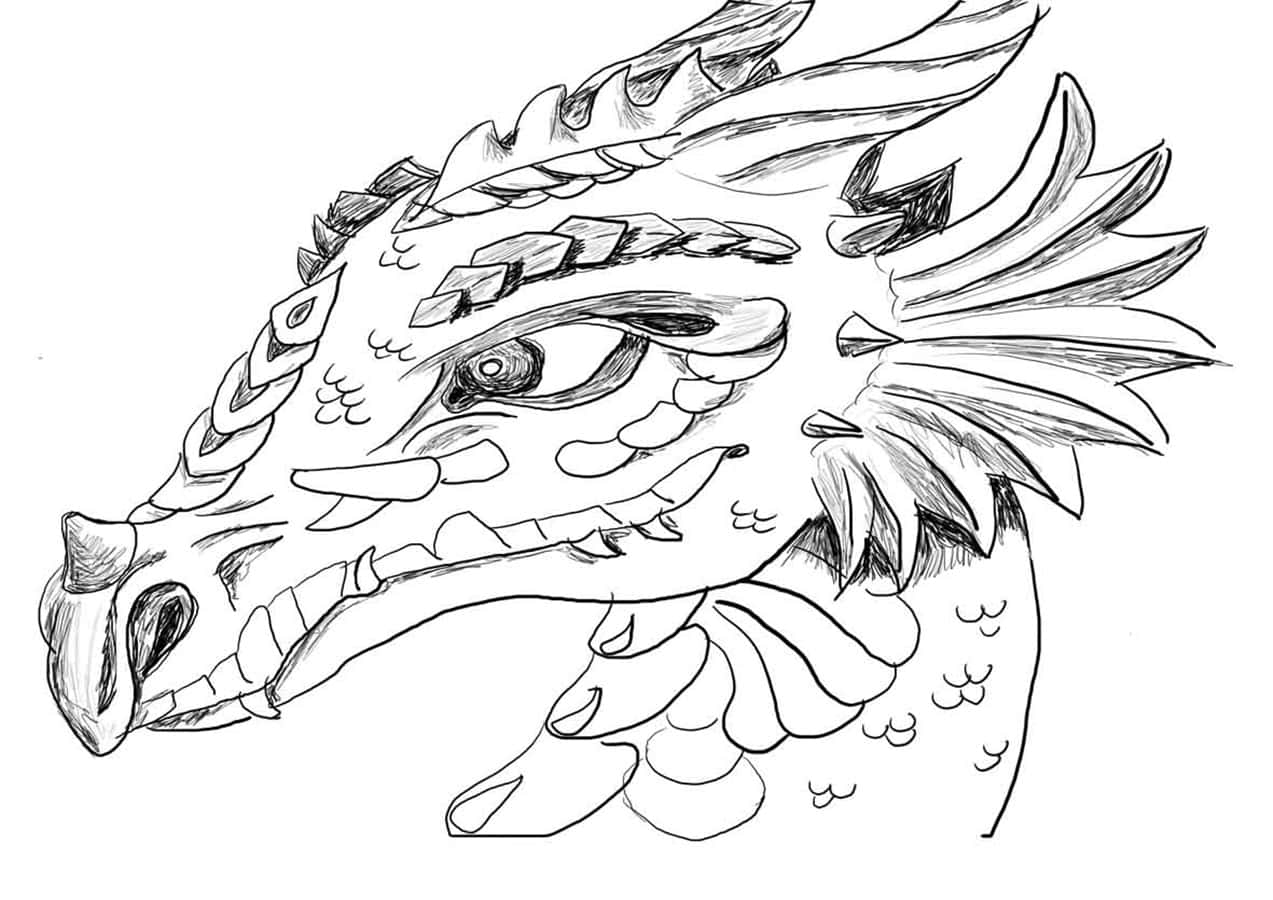 Dragon Coloring 桌布 壁紙 — 一幅詳細的黑白線條畫，描繪龍頭，帶有複雜的鱗片和兇猛的眼睛。