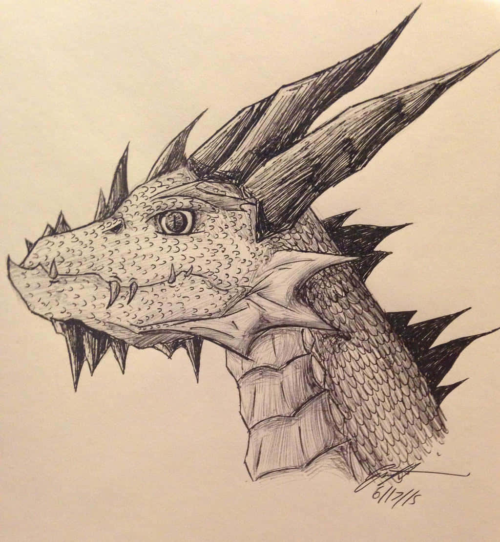 Dragon Profile 桌布 壁紙 — 一幅詳細的黑白鉛筆畫，描繪一個兇猛的龍頭，帶有尖刺的角和有紋理的鱗片。