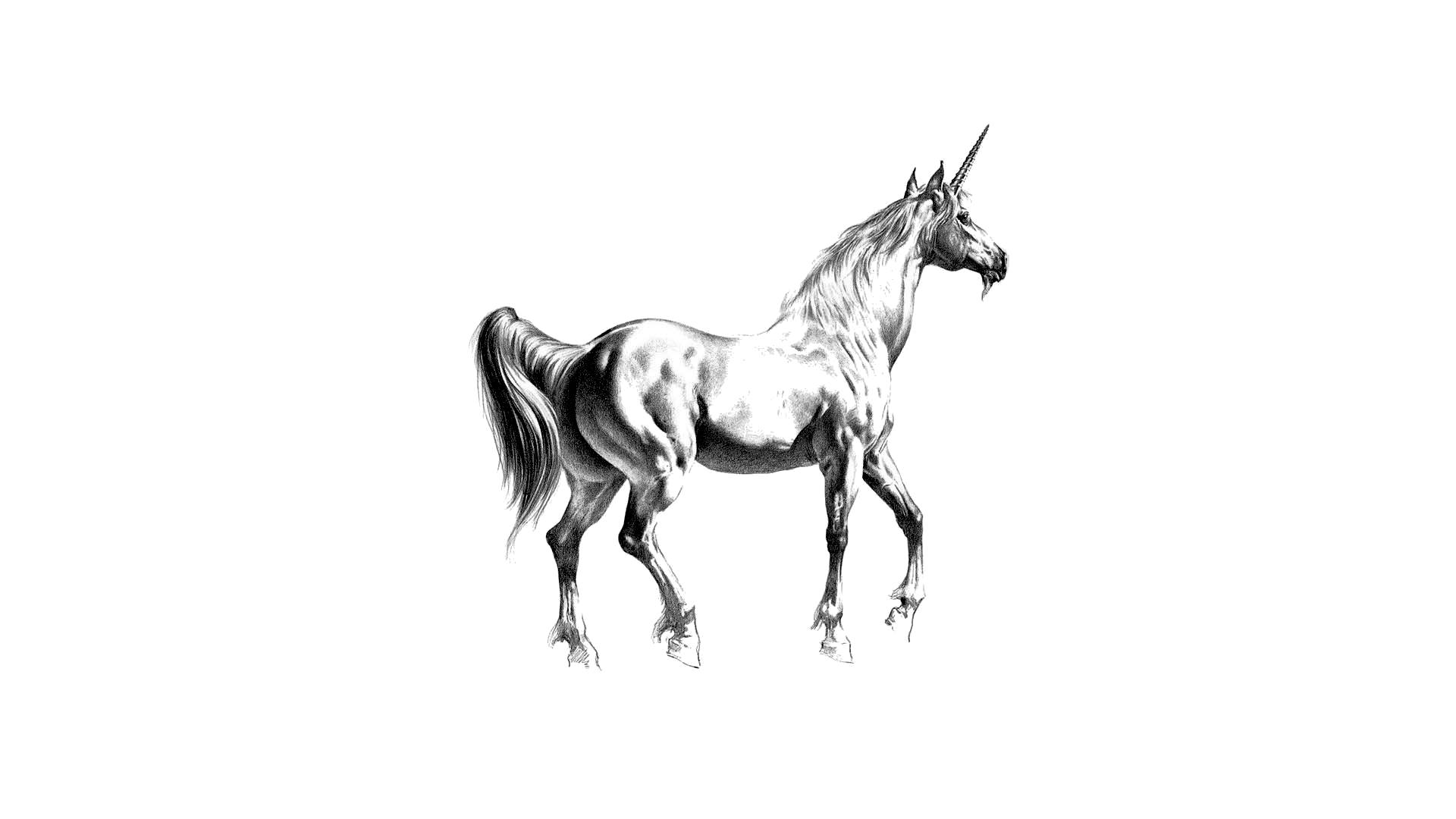 Pretty Unicorn 桌布 壁紙 — 一幅詳細的黑白鉛筆畫，描繪一頭雄偉的獨角獸側面站立在純白背景上。