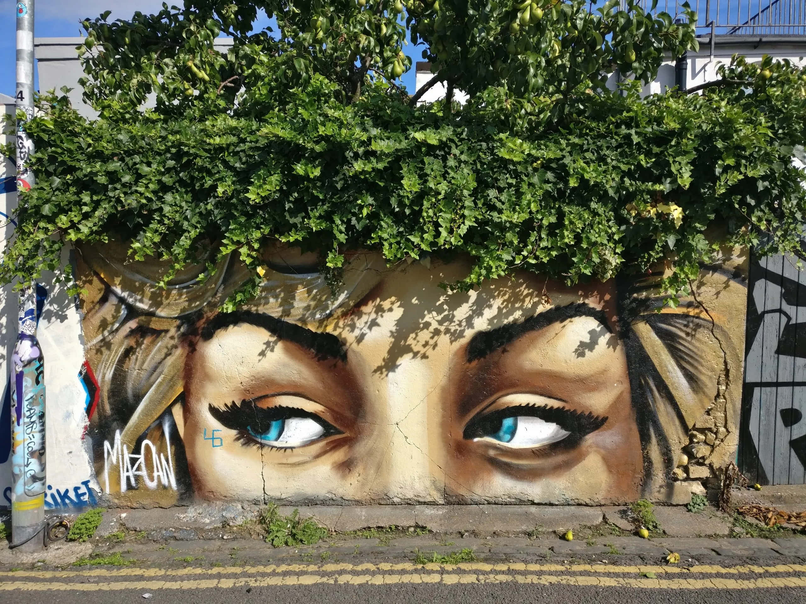 Graffiti Art 桌布 壁紙 — 一幅超寫實的壁畫，描繪一位女性強烈的藍色眼睛從城市牆上茂密的綠色常春藤下窺視。