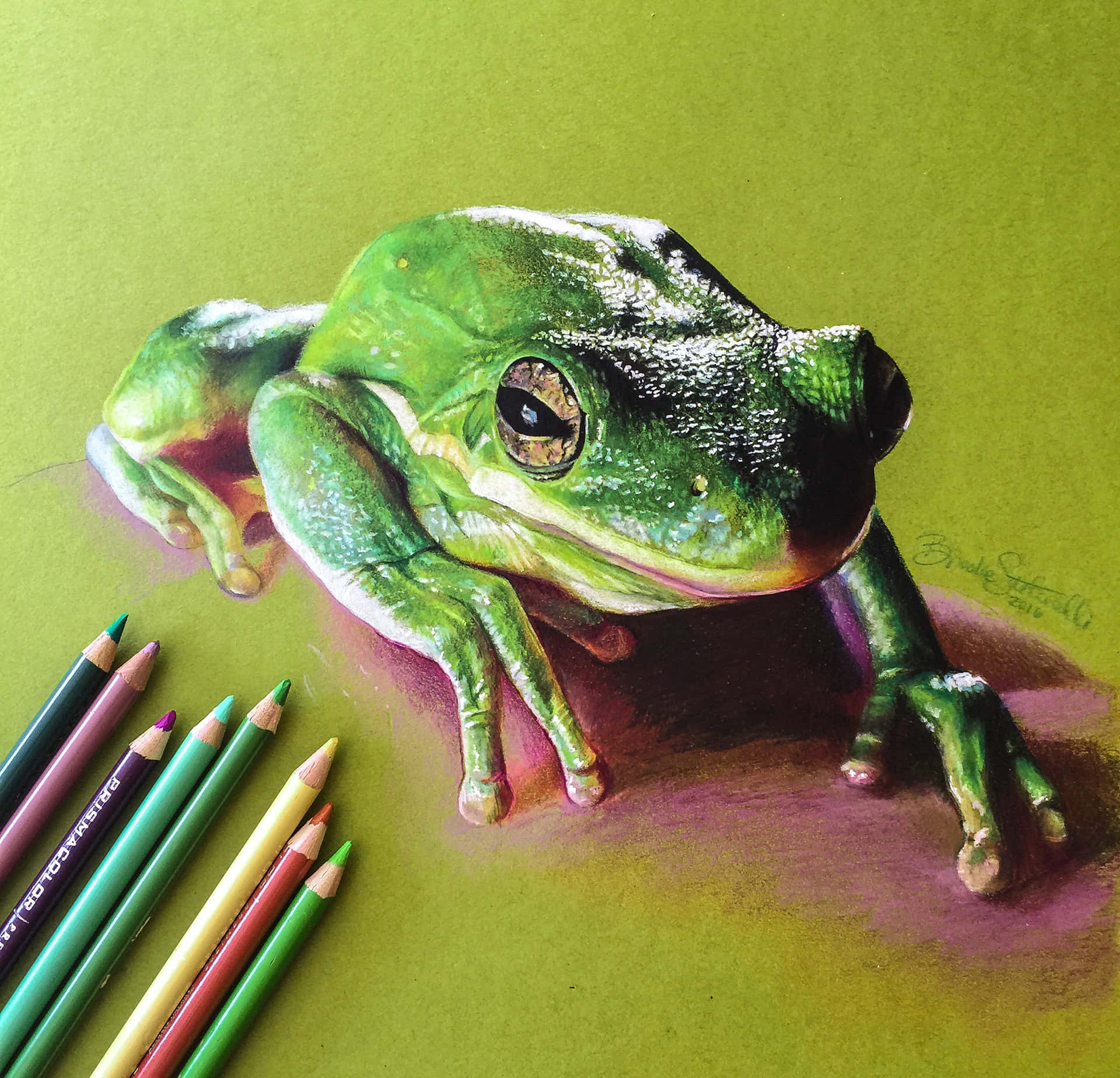 Frog Drawing 桌布 壁紙 — 一幅超寫實的彩色鉛筆畫，描繪一隻綠色樹蛙，皮膚紋理細緻，眼神富有表現力，周圍環繞著藝術用品，背景為柔和的綠色。
