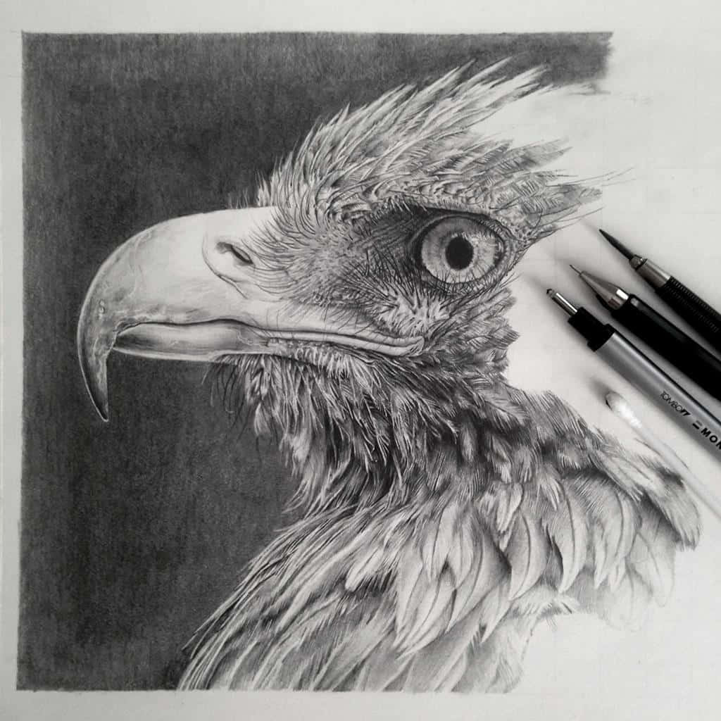 Eagle 桌布 壁紙 — 一幅超寫實的鉛筆畫，畫了一隻鷹的頭部，羽毛細節豐富，眼神銳利，旁邊放了繪畫工具在白紙上。