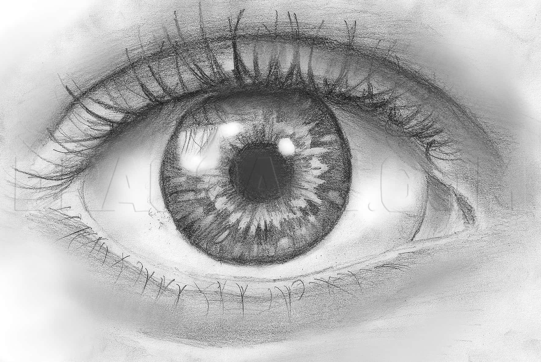 Eye 桌布 壁紙 — 一幅超詳細的鉛筆素描，畫的是人眼，有複雜的睫毛和有紋理的虹膜。