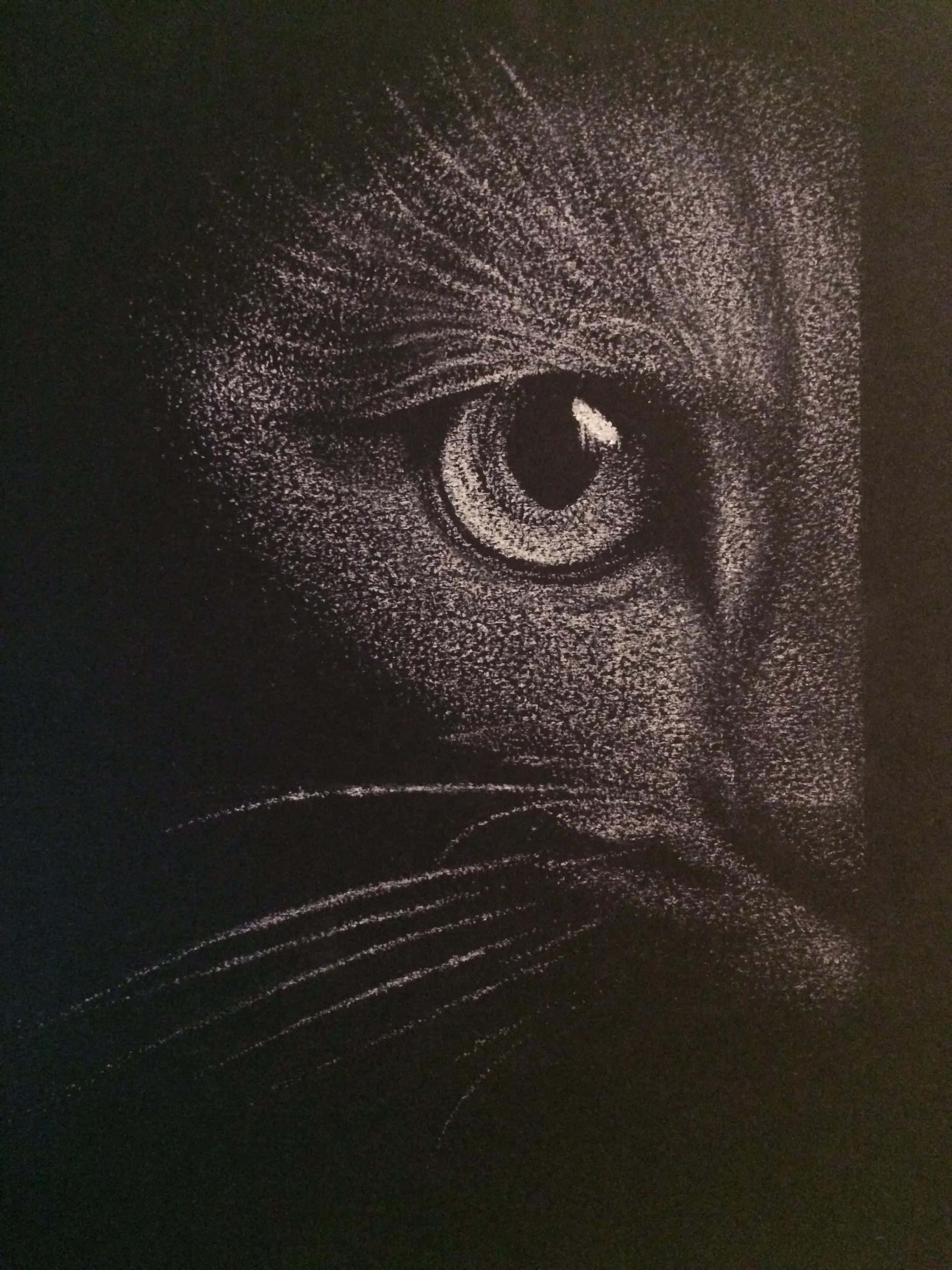 Cat Eyes 桌布 壁紙 — 一幅近距離木炭畫，描繪黑貓在黑暗中發光的強烈眼睛，帶有詳細的鬍鬚和毛髮紋理。