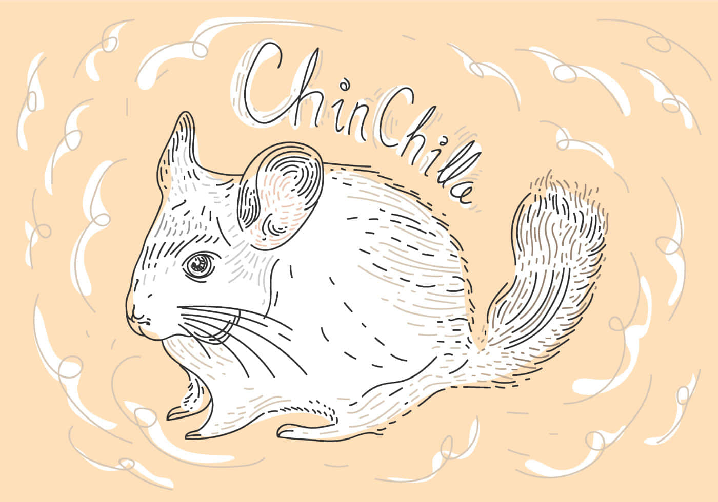 chinchilla 桌布 壁紙 — 一幅迷人的手繪龍貓插圖，帶有精緻的線條和旋轉的裝飾元素，背景為柔和的桃色。