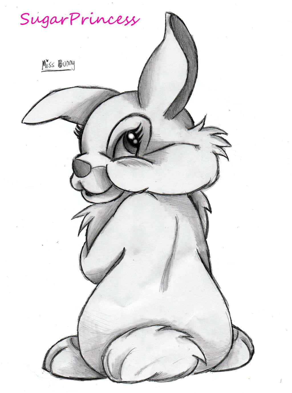 Miss Rabbit 桌布 壁紙 — 一幅迷人的鉛筆素描，畫著一隻大眼睛、毛茸茸耳朵的可愛兔子，坐得筆直。