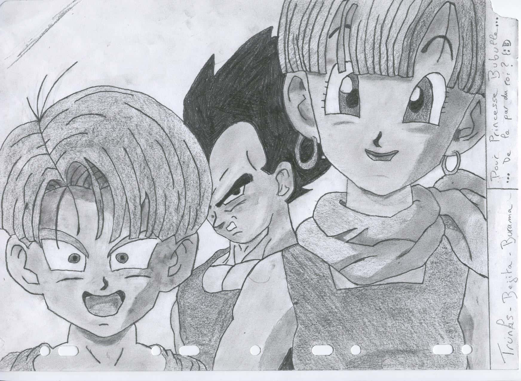 Vegeta's Family 桌布 壁紙 — 一幅鉛筆素描，描繪三個龍珠角色——特南克斯、布瑪和達爾——表情豐富，陰影細緻。