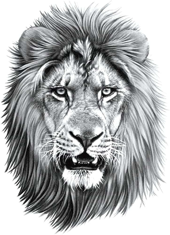 Lion Head 桌布 壁紙 — 一幅非常詳細的黑白插圖，描繪一頭雄獅充滿威嚴的臉部，帶有完整的鬃毛和露出的牙齒。