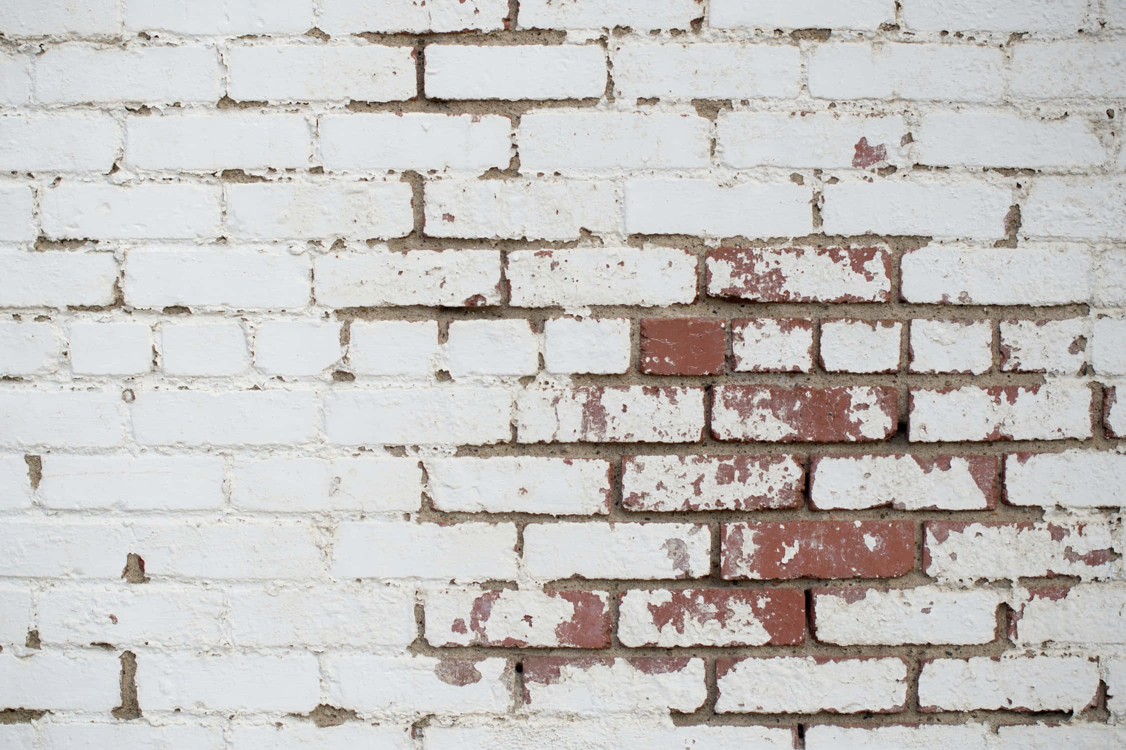 White Brick Wall 桌布 壁紙 — 一幅風化白色磚牆的特寫，剝落的油漆露出下面的紅磚。