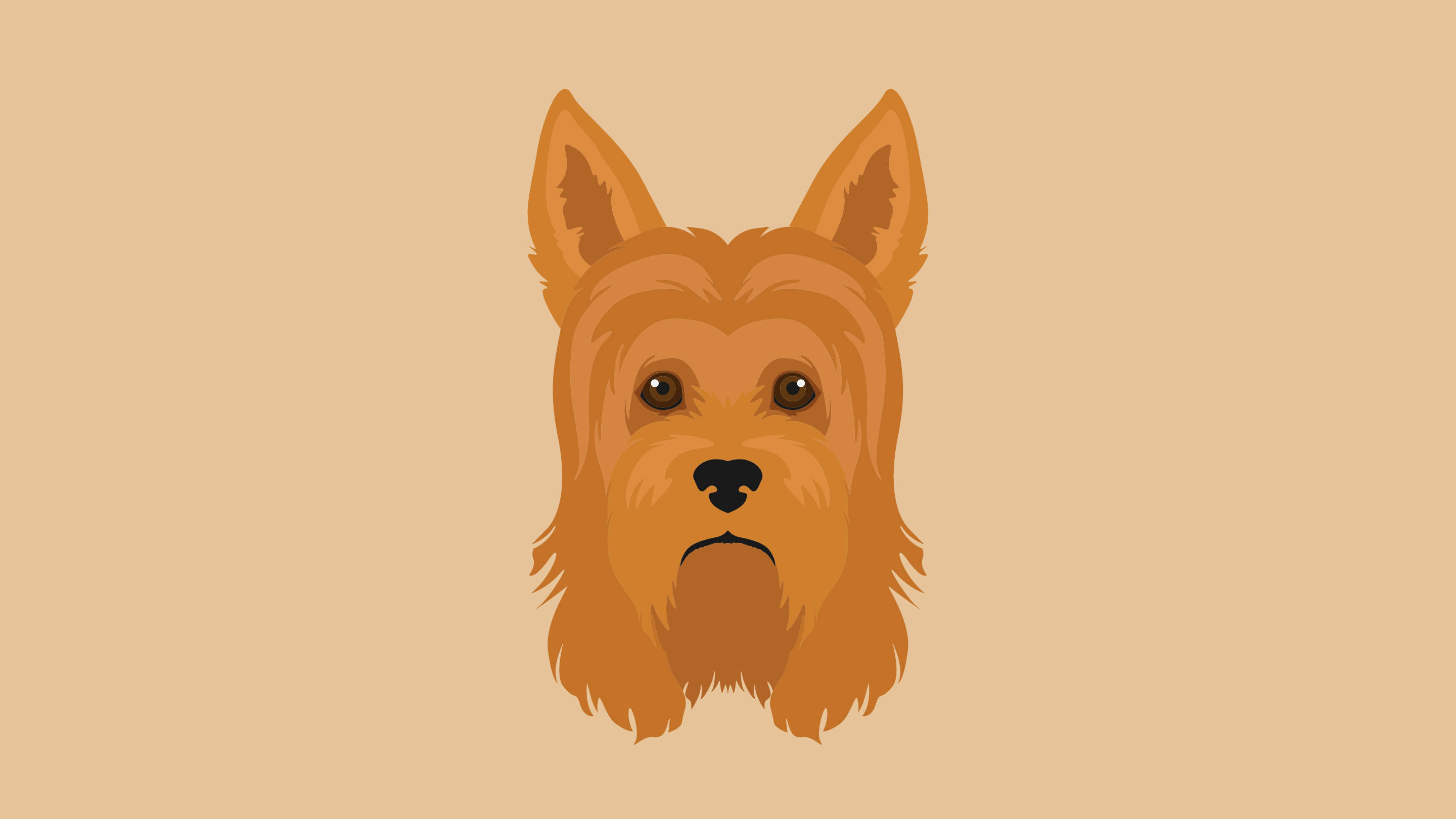 Terrier 桌布 壁紙 — 一幅風格化的插圖，描繪一隻棕褐色澳洲㹴的頭部，有著豎起的耳朵和富有表情的眼睛，背景為米色。