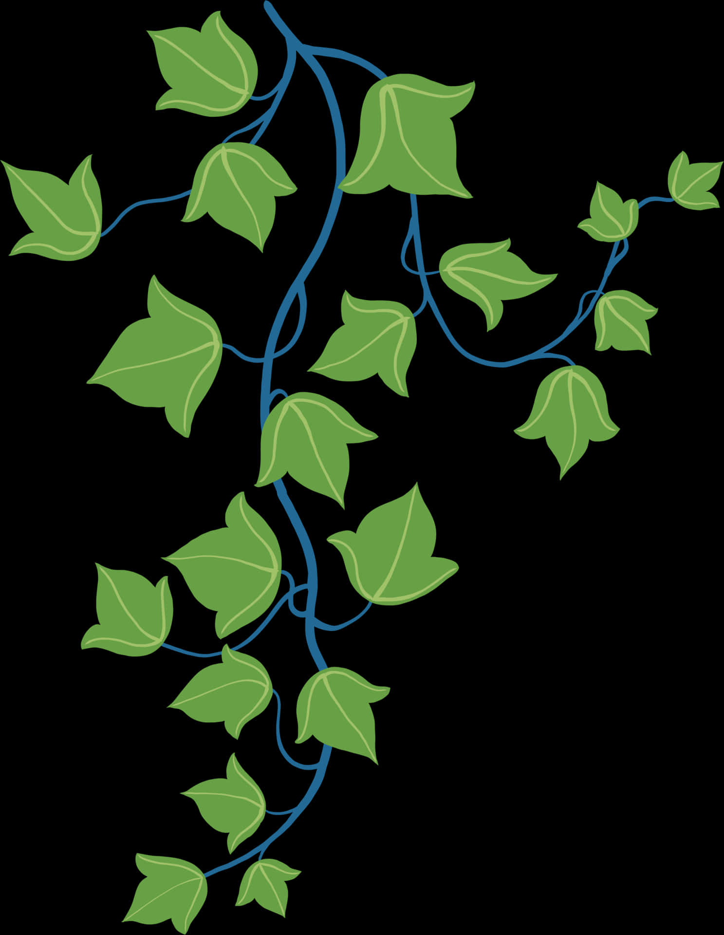 vine 桌布 壁紙 — 一幅風格化的插圖，描繪綠色常春藤葉子搭配藍色莖蔓，在黑色背景上層疊而下。