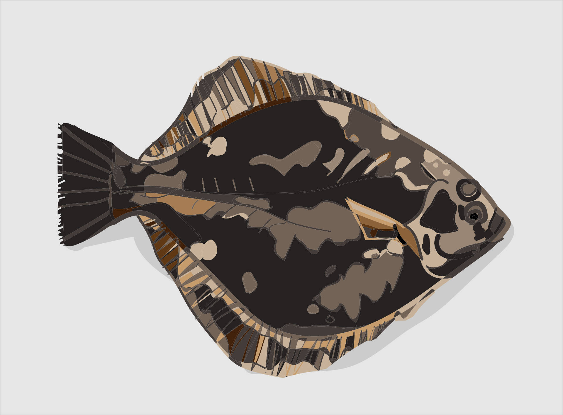 魚 桌布 壁紙 — 一幅風格化的比目魚插圖，在淺灰色背景上帶有醒目的黑色和大地棕色圖案。