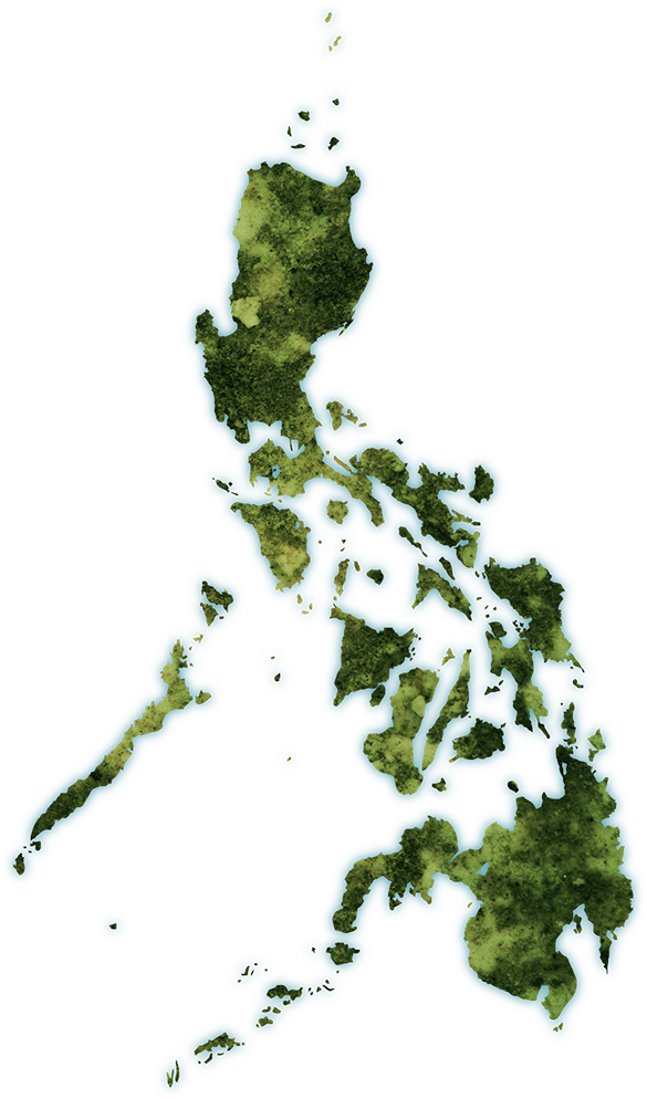 Philippines Map 桌布 壁紙 — 一幅風格化的菲律賓地圖，綠色陸地和藍色水域，背景為黑色。
