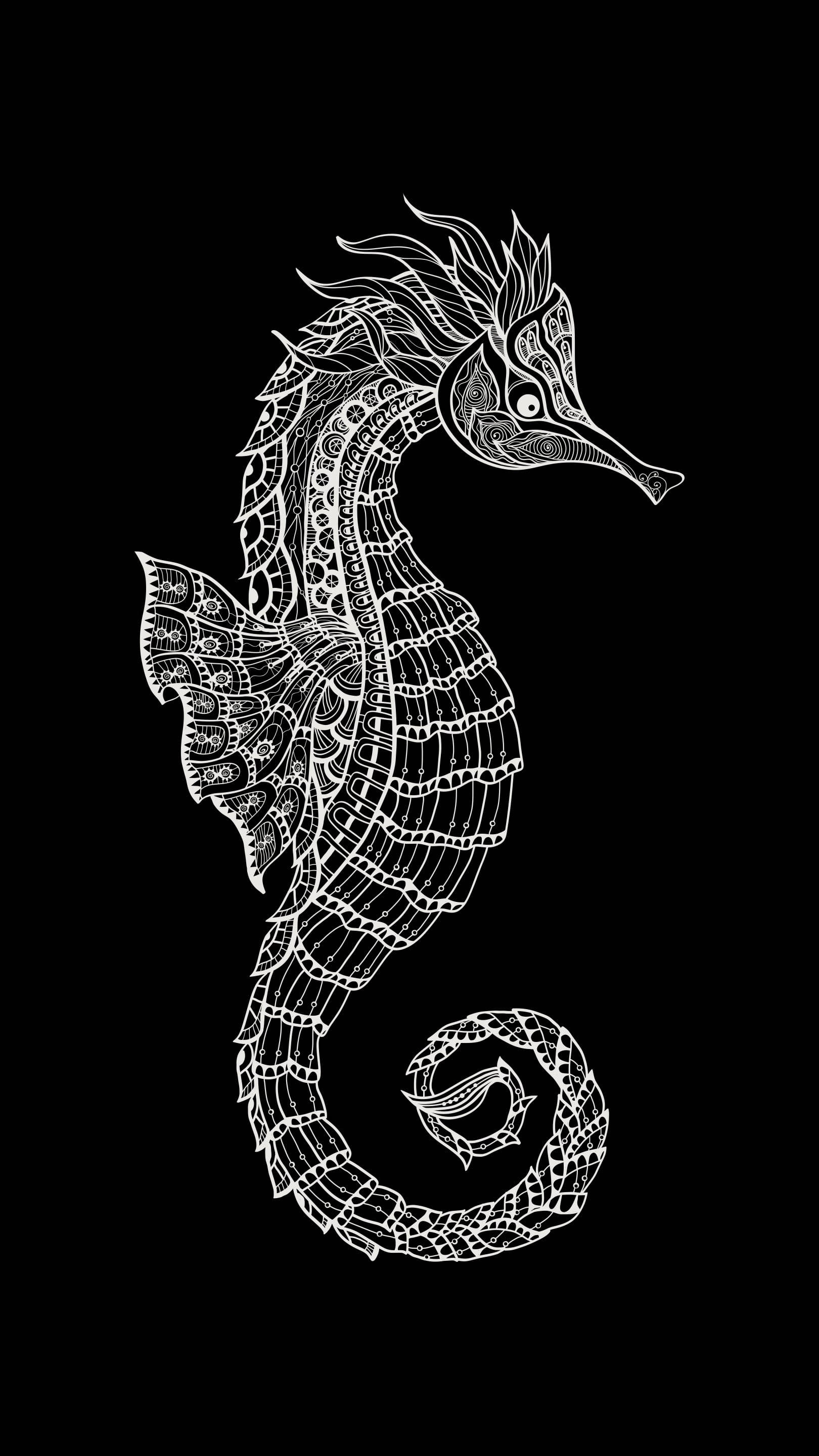 海馬 桌布 壁紙 — 一幅高度詳細的白色線條畫，描繪了一隻帶有複雜圖案的海馬，背景為純黑色。