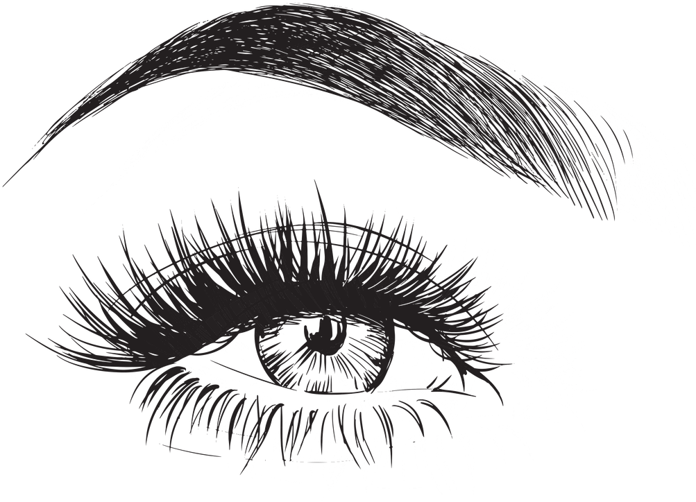 Eyebrow 桌布 壁紙 — 一幅高度詳細的黑白線條藝術插圖，描繪了一隻擁有長睫毛和拱形眉毛的人類眼睛，背景是純黑色。