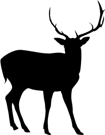 Elk 桌布 壁紙 — 一幅鮮明的白色線條畫，描繪雄鹿剪影，矗立在純黑色背景上。