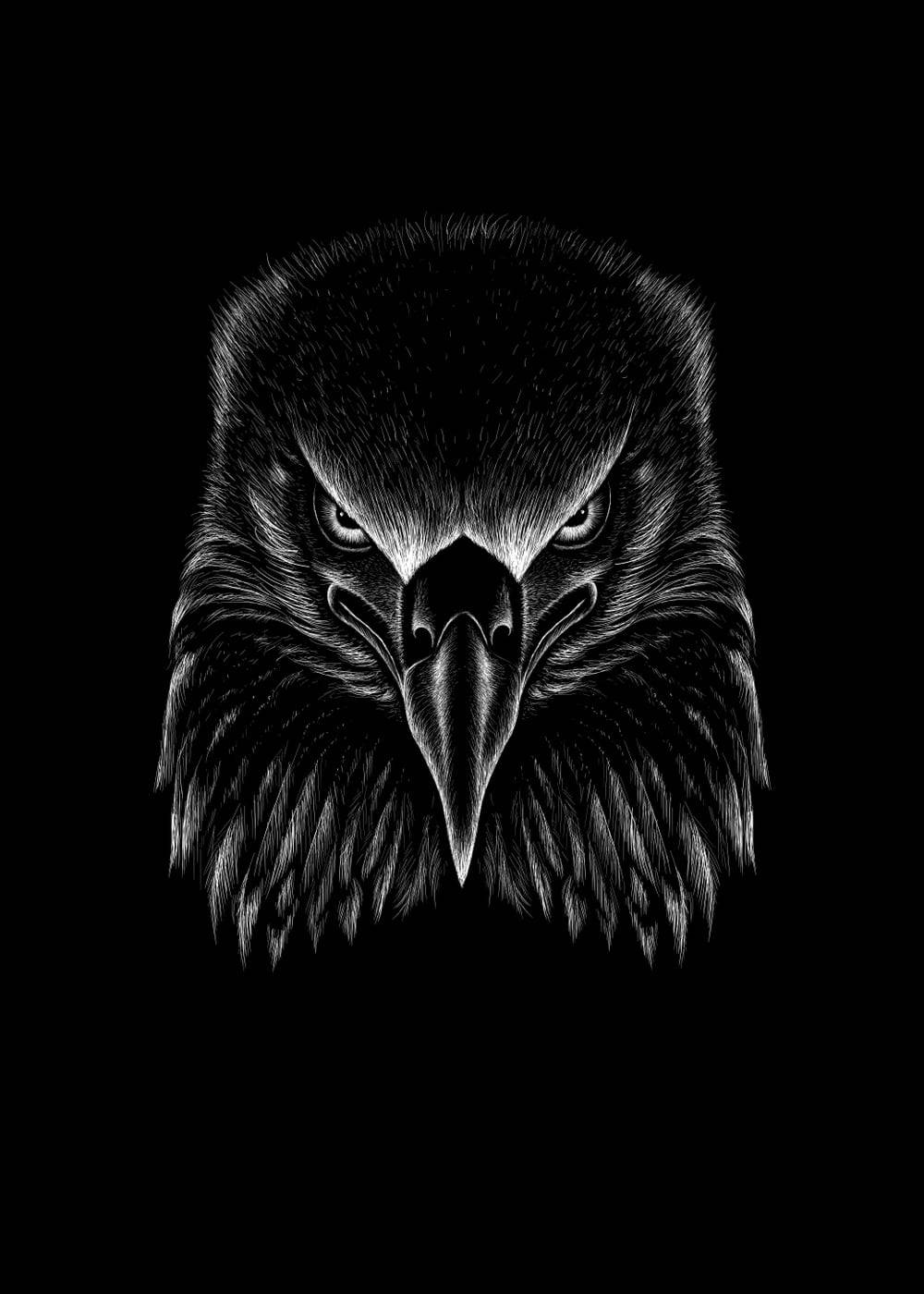 藝術 iPhone 桌布 壁紙 — 一幅鮮明的黑白插圖，描繪一隻鷹的頭部，擁有銳利的眼睛和尖銳的喙，背景為純黑色。