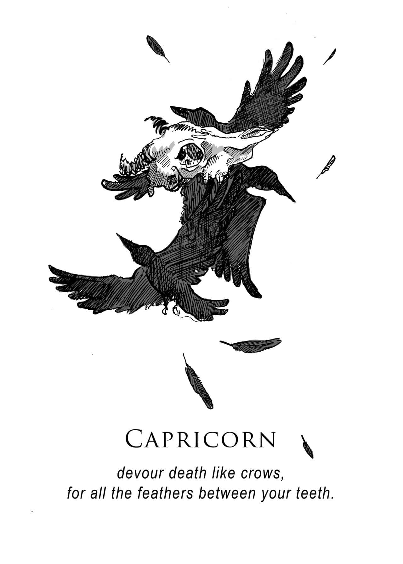 Capricorn Aesthetic 桌布 壁紙 — 一幅鮮明的黑白插圖，描繪烏鴉頭骨展開翅膀，周圍環繞著飄落的羽毛，標有 'CAPRICORN'。