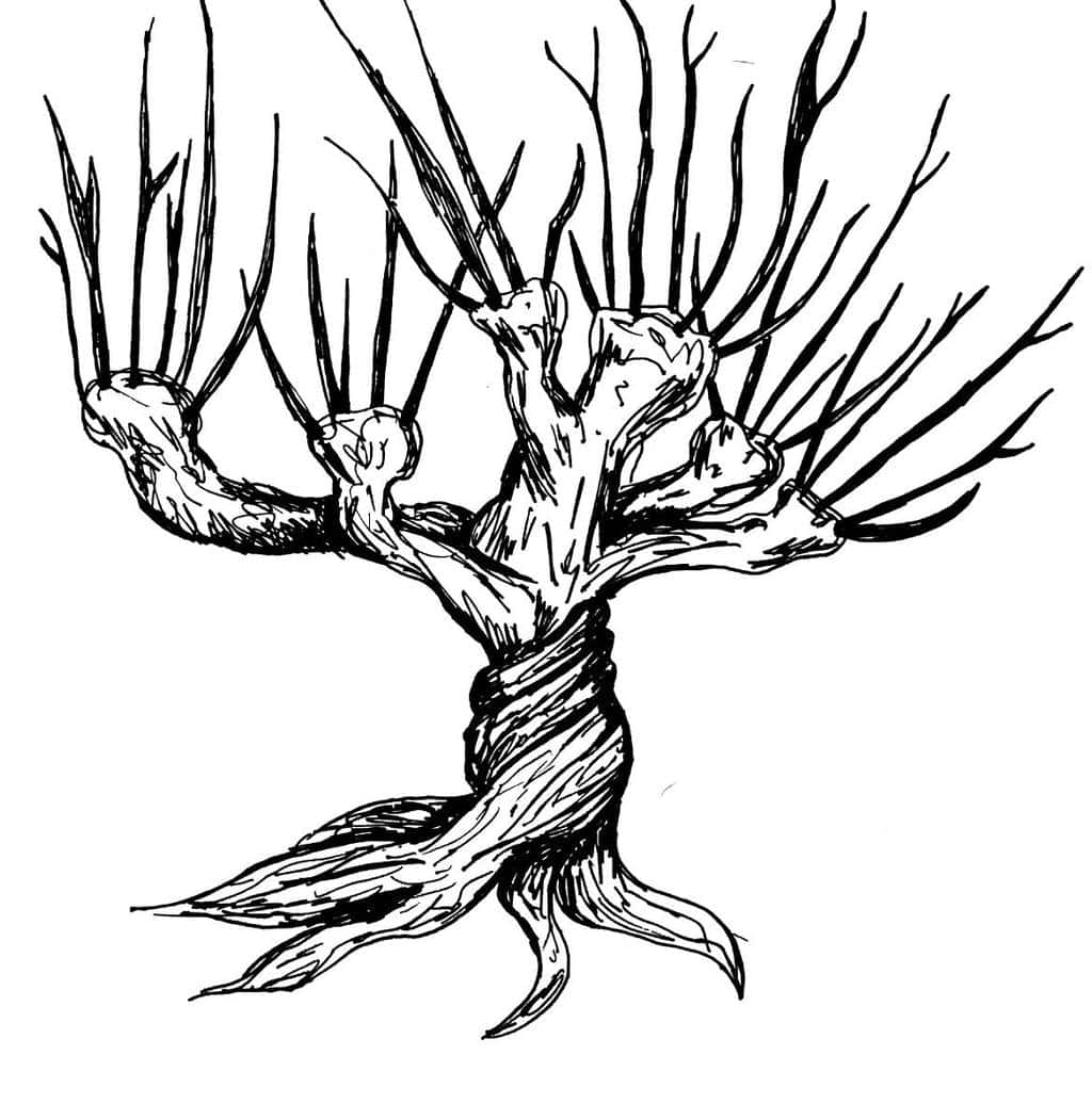 The Whomping Willow 桌布 壁紙 — 一幅鮮明的黑白線條畫，描繪一棵扭曲的樹，樹枝多節，末端是尖銳的刺。