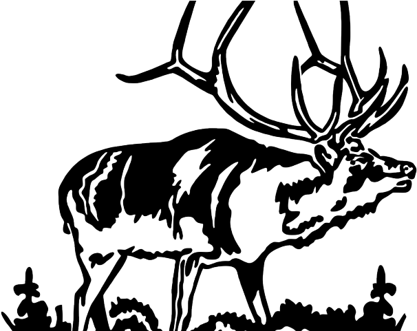 Elk 桌布 壁紙 — 一幅鮮明的黑白線條畫，描繪一頭擁有巨大鹿角的雄偉雄鹿，佇立在草地上。
