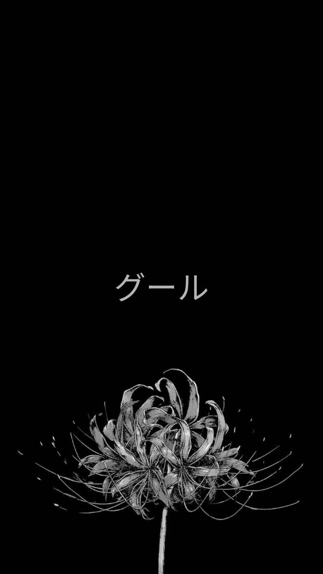東京喰種 桌布 壁紙 — 一幅鮮明的黑白蜘蛛百合插圖，帶有精緻的花瓣和長長的絲狀物，背景為純黑色。