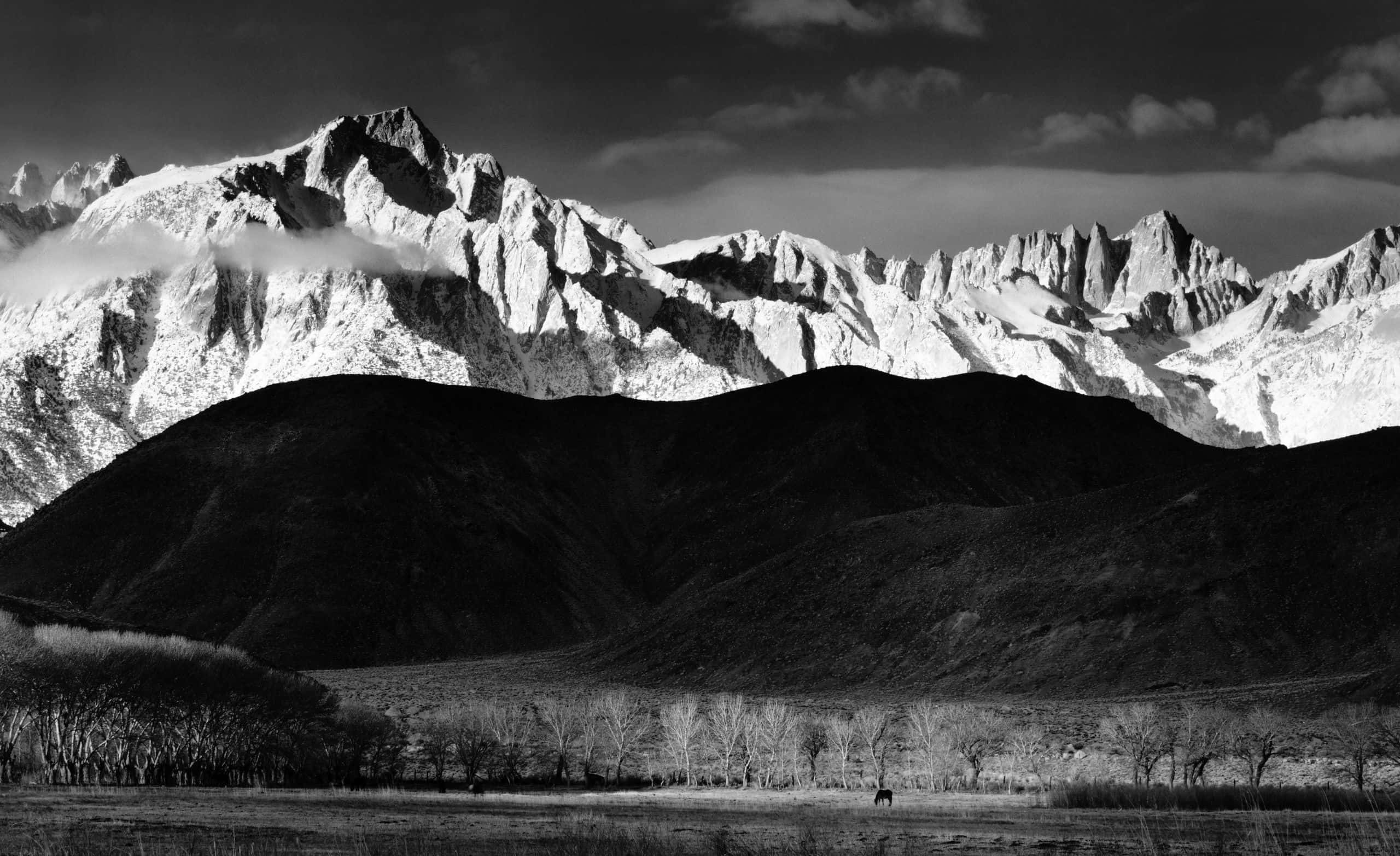 Black And White Landscape 桌布 壁紙 — 一幅鮮明的黑白風景，雪覆蓋的鋸齒狀山脈聳立在黑暗起伏的山丘和稀疏的裸樹山谷之上。