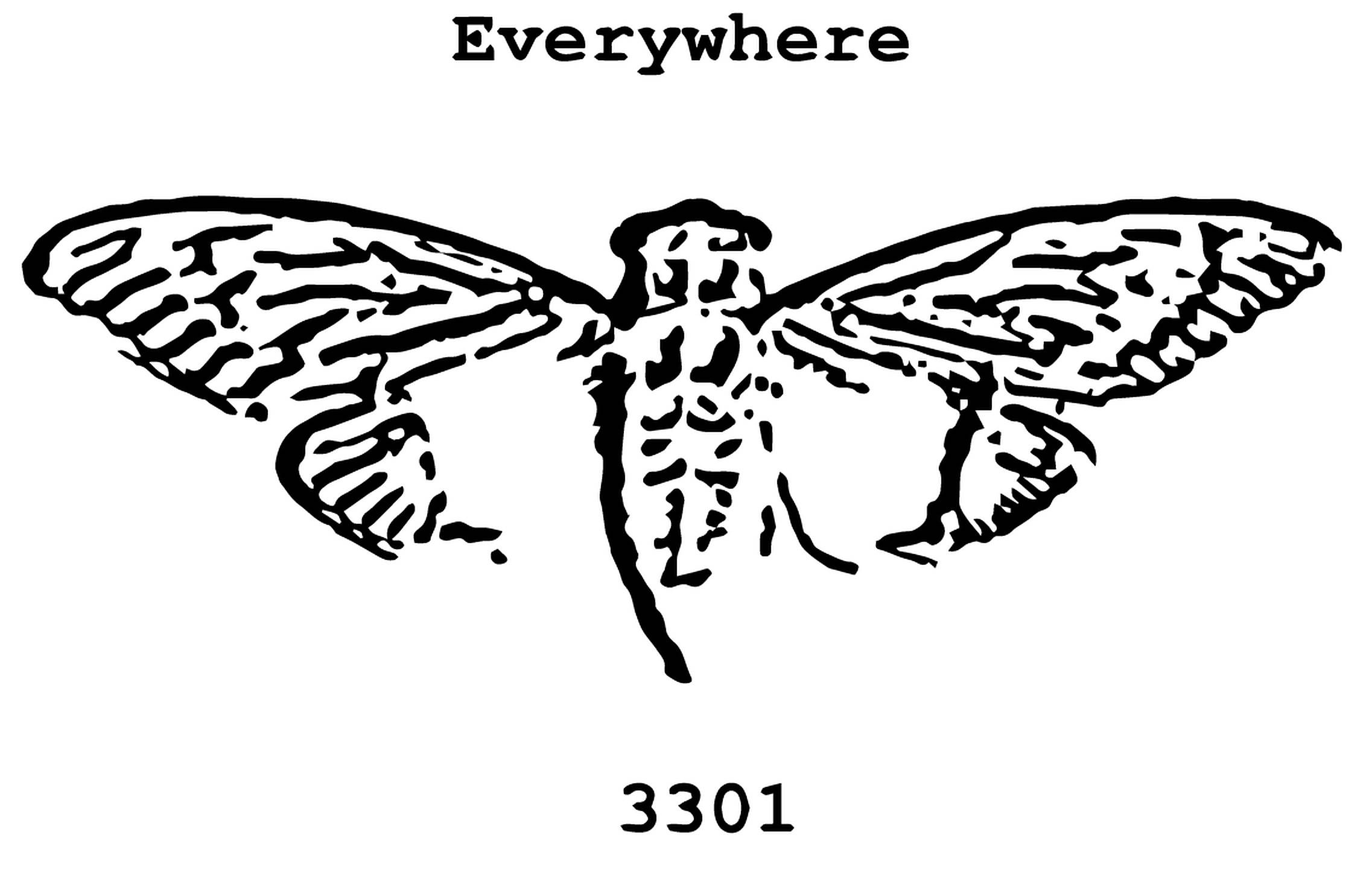 Cicada 桌布 壁紙 — 一幅鮮明的黑色線條藝術插圖，描繪一隻飛蛾，帶有詳細的翅膀圖案，居中於白色背景上。