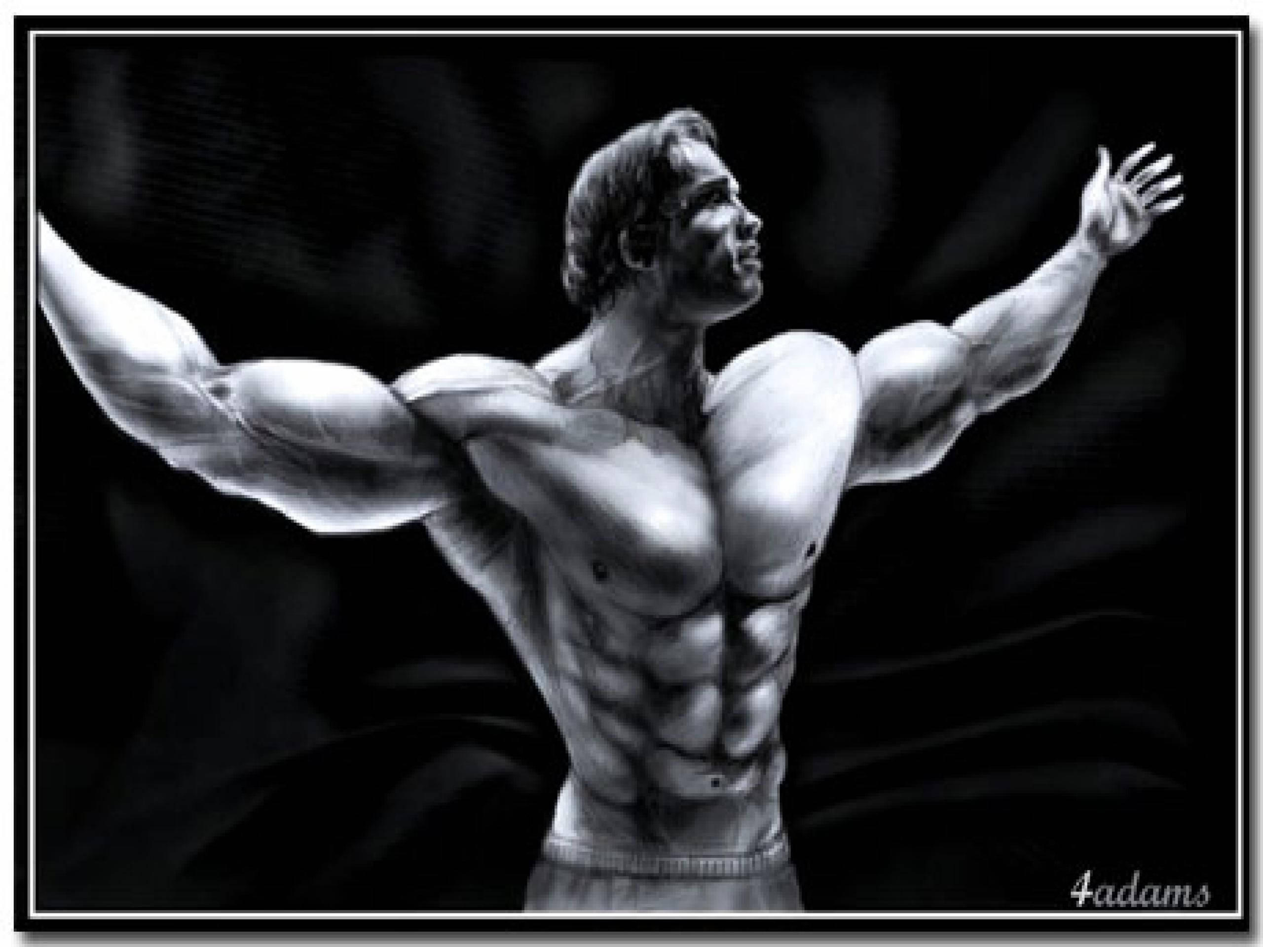 Arnold 桌布 壁紙 — 一幅黑白插圖中，一名肌肉發達的男子在黑暗背景下伸展雙臂，擺出強而有力的姿勢。