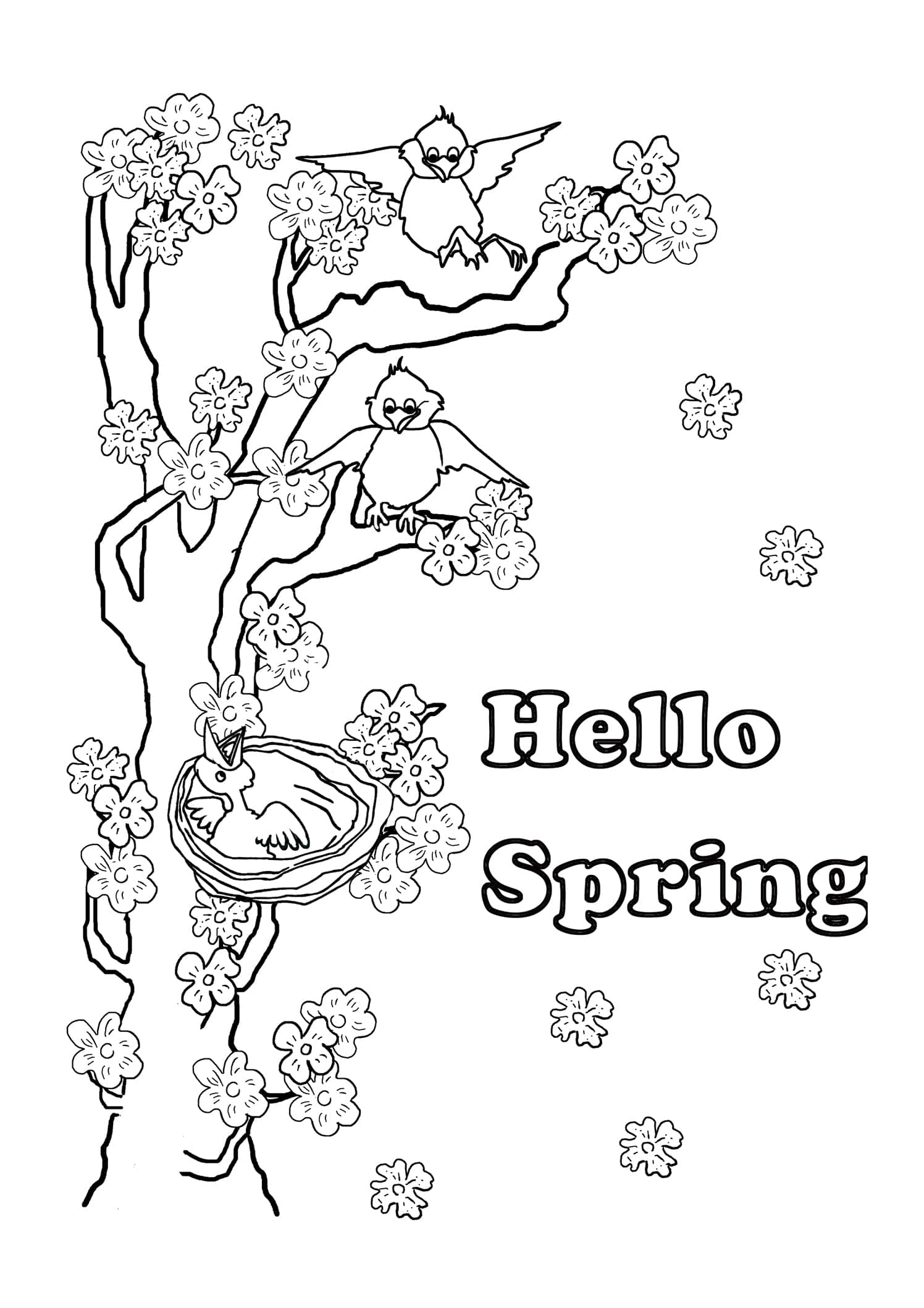 Spring Coloring 桌布 壁紙 — 一幅黑白線條畫，描繪鳥兒在開花的樹枝上，有一個鳥巢和「Hello Spring」文字。