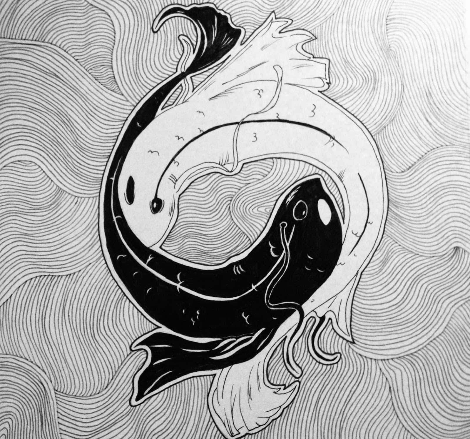 Yin Yang Fish 桌布 壁紙 — 一幅黑白線條藝術插圖，描繪兩條魚在波浪背景上交織成陰陽符號。