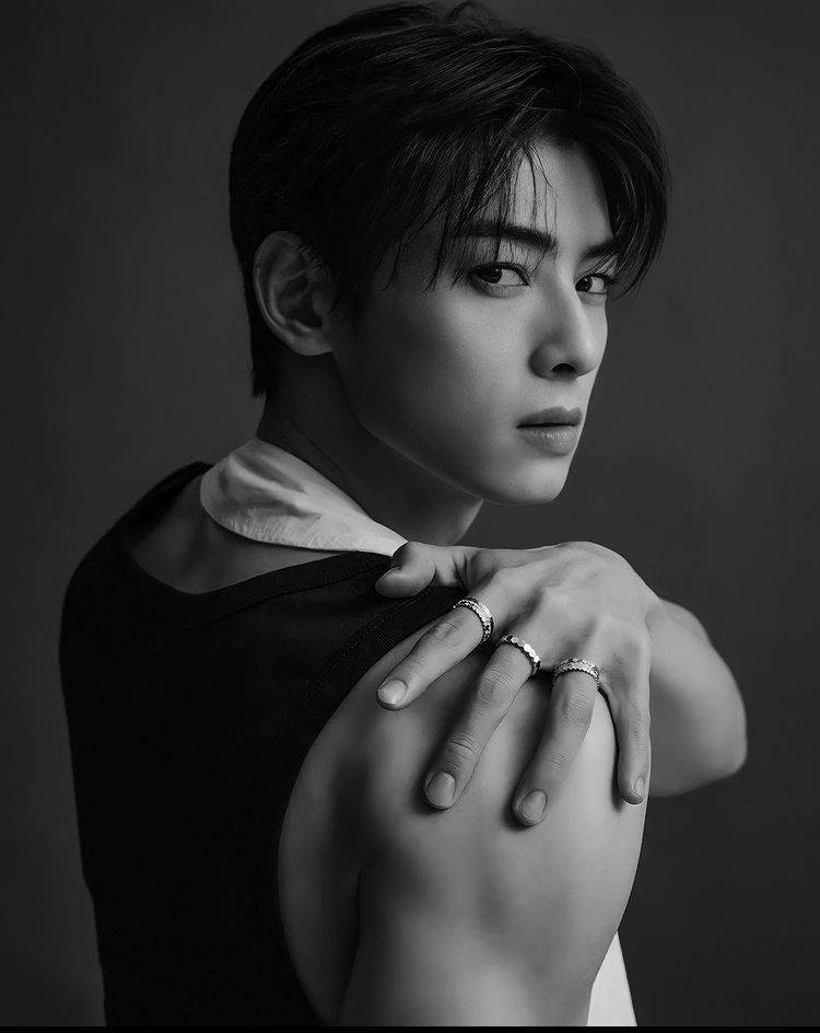 Eunwoo 桌布 壁紙 — 一幅黑白肖像，描繪一位深色頭髮的年輕男子，戴著戒指和白色領子的黑色上衣，凝視著鏡頭。