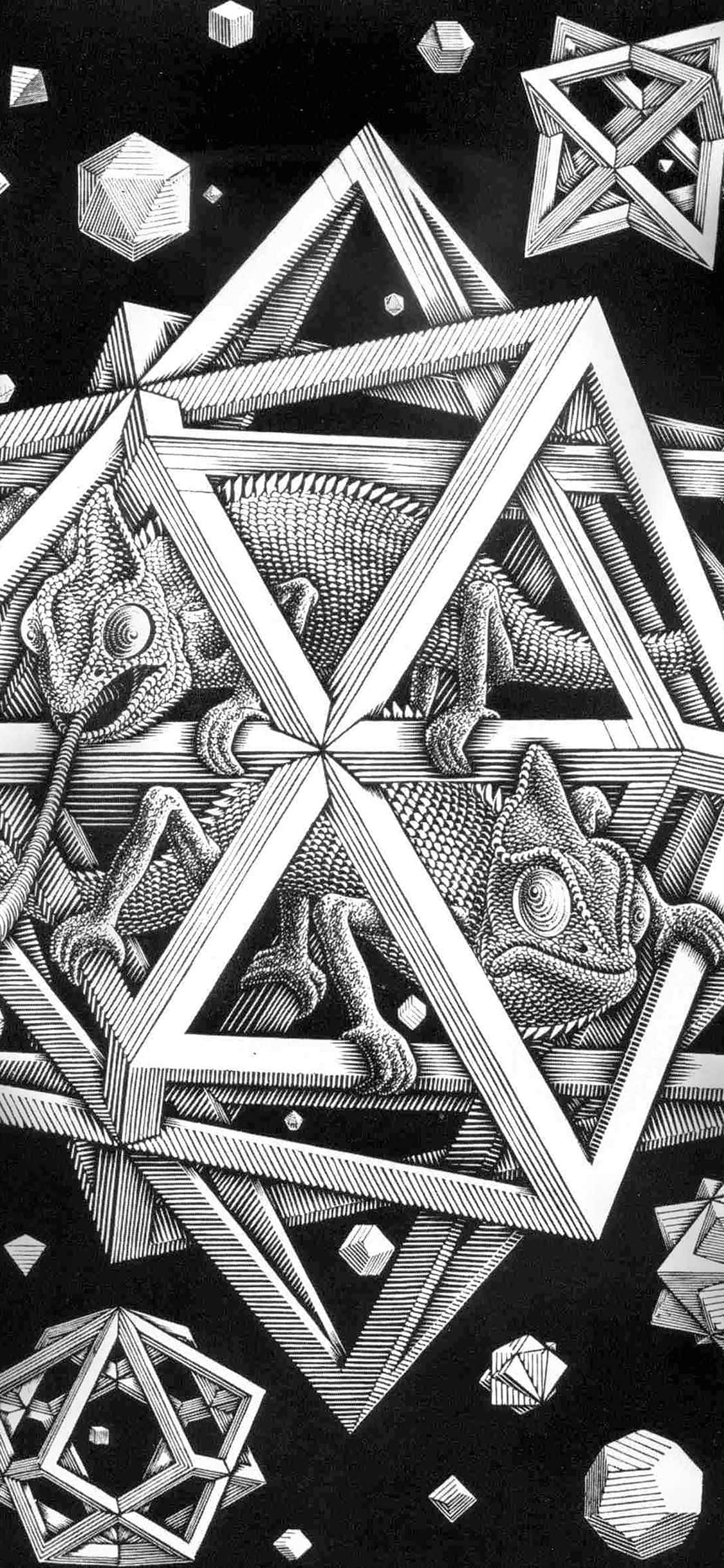 graphic art 桌布 壁紙 — 一幅黑白複雜的插圖，描繪變色龍纏繞在幾何星形和立方體形狀中。