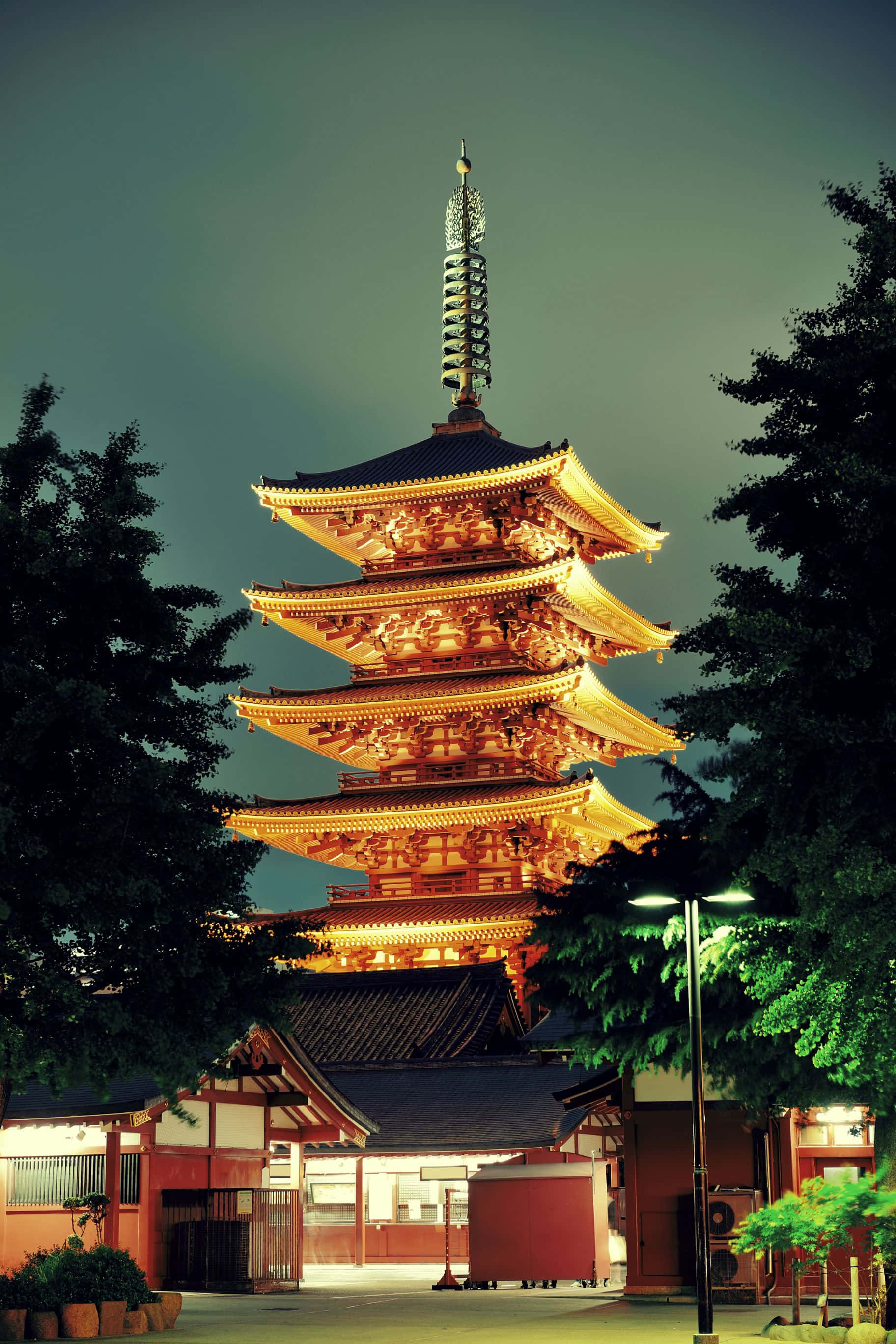 1824x2736 桌布 壁紙 — 一座五層高的日本寶塔在暮色天空下溫暖地發光，周圍是黑暗的樹木剪影。