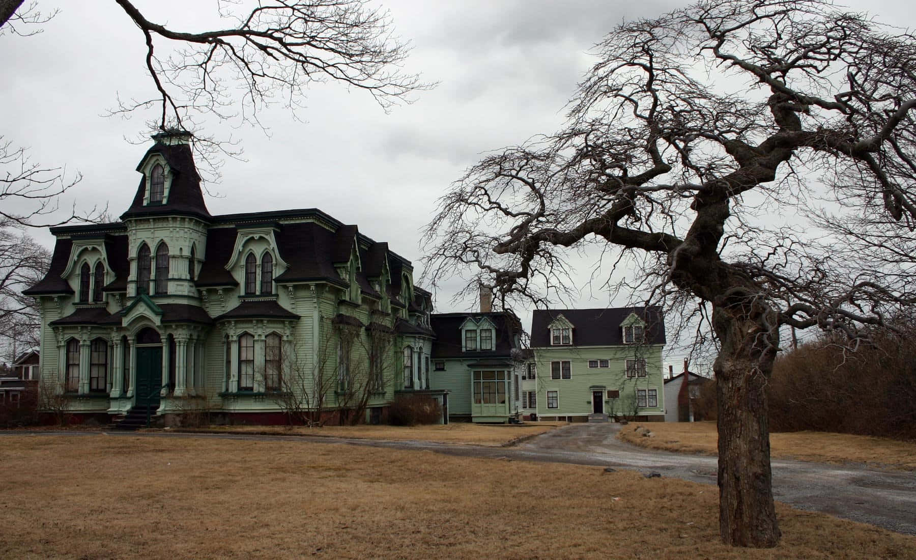 Haunted House 桌布 壁紙 — 一座令人毛骨悚然的美麗維多利亞式大宅，擁有淡綠色牆板和深色屋頂，矗立在陰沉天空下，周圍是光禿禿的扭曲樹木。