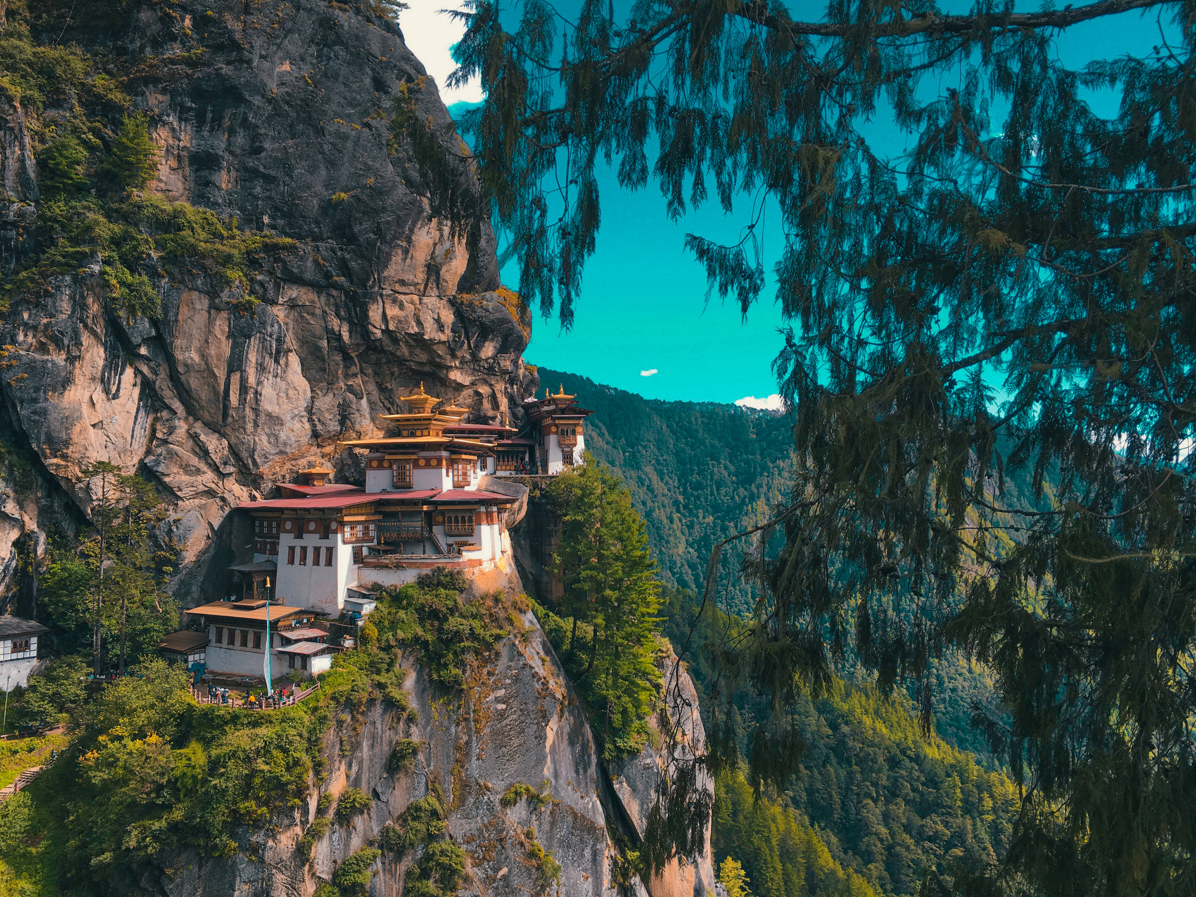 Bhutan 桌布 壁紙 — 一座令人驚嘆的修道院緊貼在陡峭的懸崖邊，周圍環繞著茂密的綠色森林和充滿活力的藍綠色天空。
