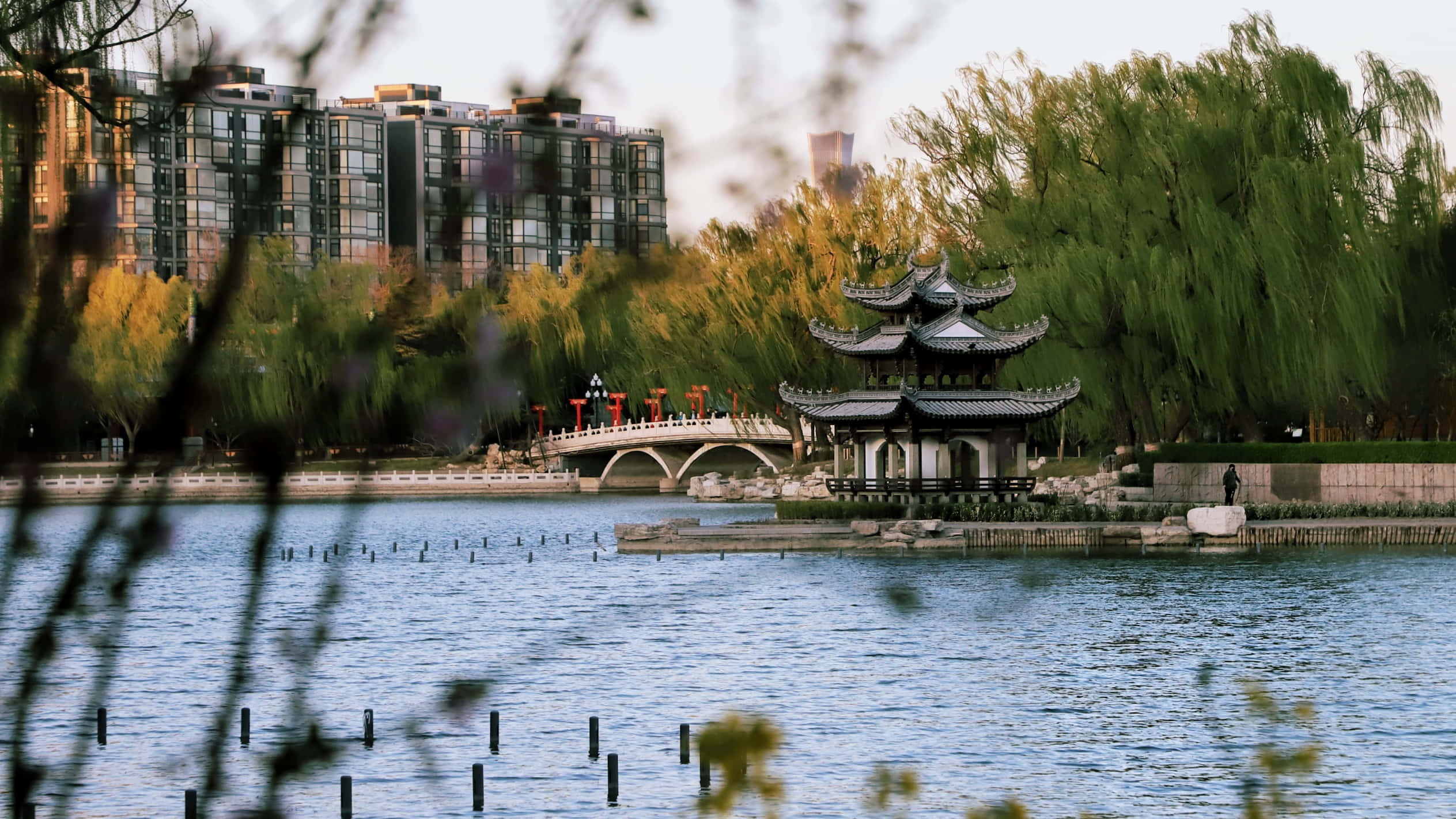 公園 桌布 壁紙 — 一座傳統中式亭閣坐落於寧靜的湖面上，背景有石橋和現代建築，並由柳樹環繞。