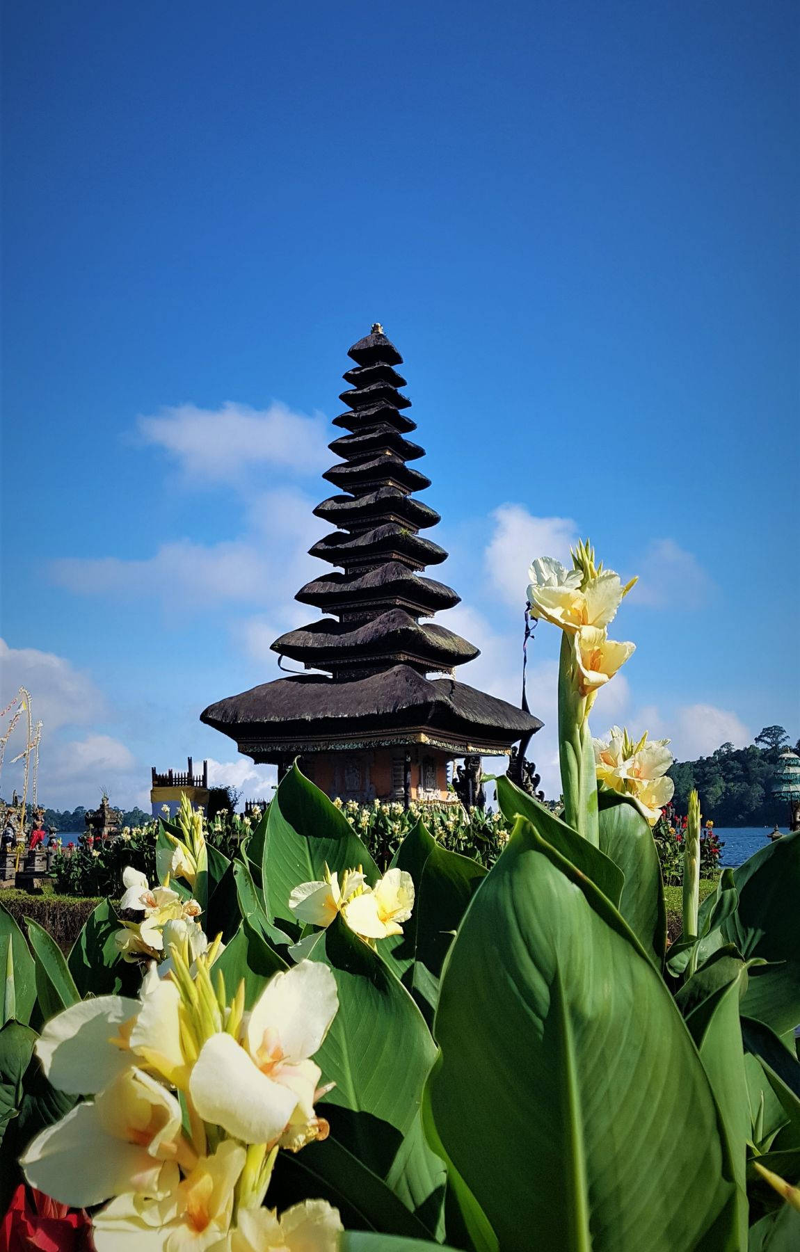 在明亮的藍天下，被熱帶花卉環繞的峇里島寺廟。 — 美麗風景動圖 壁紙