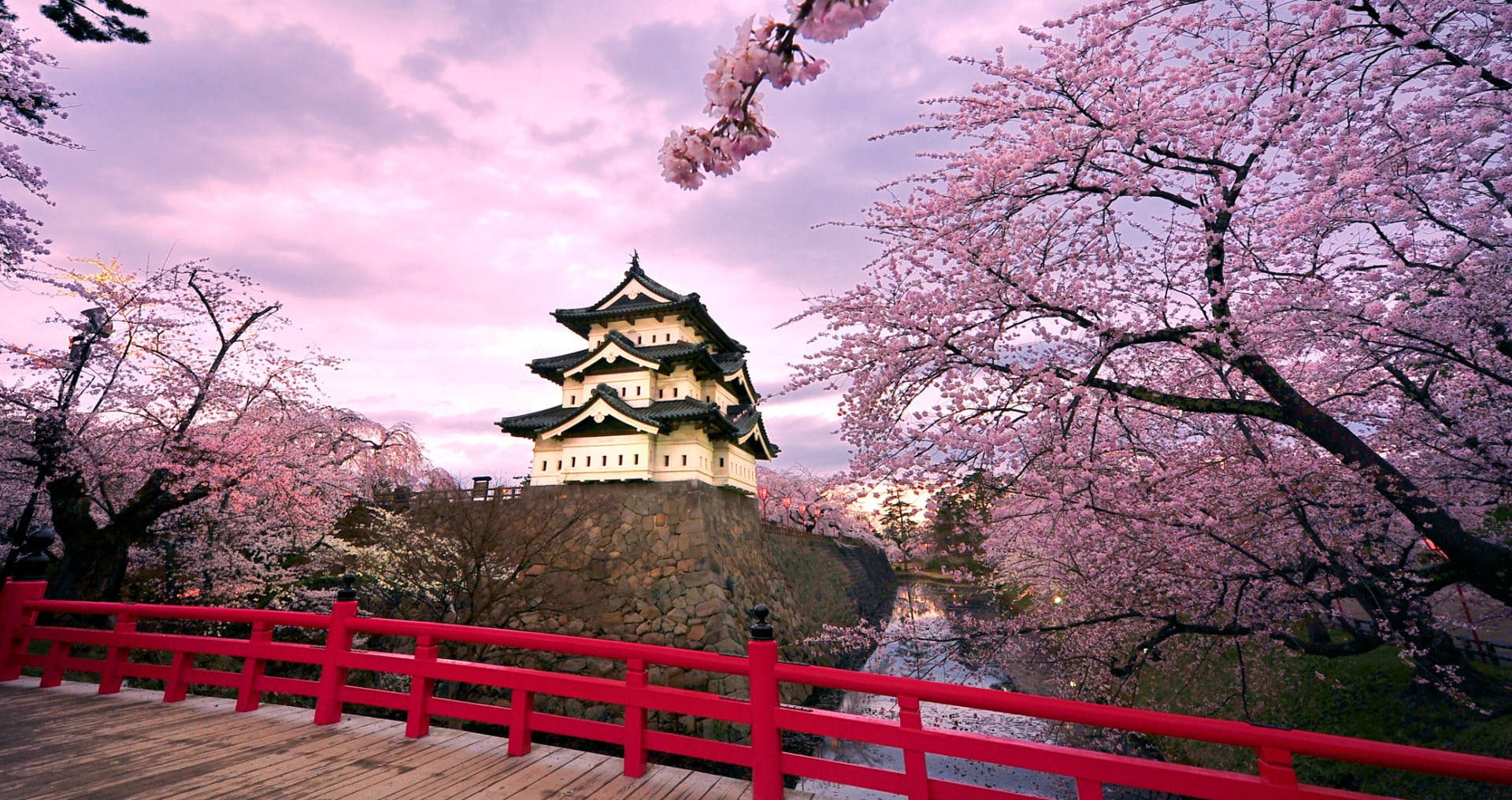 Osaka Castle 桌布 壁紙 — 一座傳統日本城堡在粉紅色暮色天空下寧靜地矗立，周圍環繞著盛開的櫻花和一座鮮紅色的橋樑。
