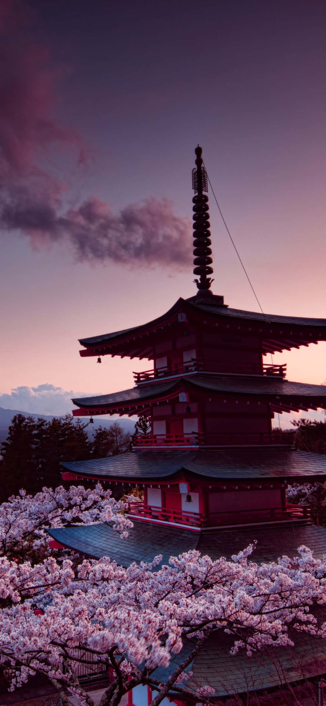 櫻花 桌布 壁紙 — 一座傳統日本寶塔在暮色天空下高聳，前景中粉紅色的櫻花盛開。
