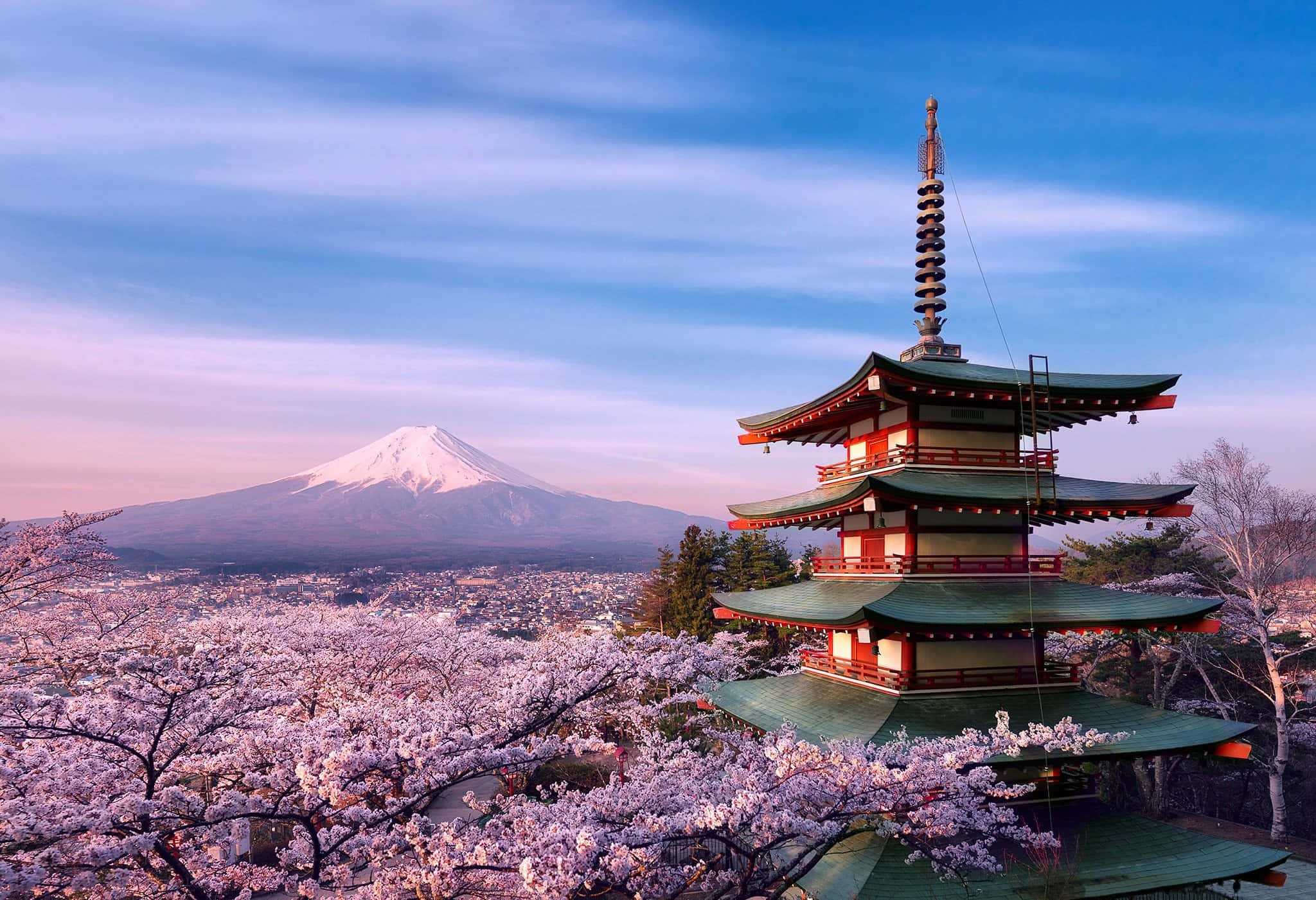 桌布 壁紙 — 一座傳統日本寶塔矗立在盛開的櫻花之中，背景是白雪覆蓋的富士山，在柔和的黃昏天空下聳立。