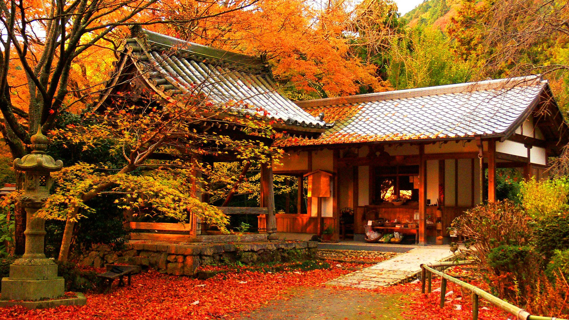 京都 桌布 壁紙 — 一座傳統日本寺廟，周圍環繞著充滿活力的秋葉，紅葉鋪滿了石徑。