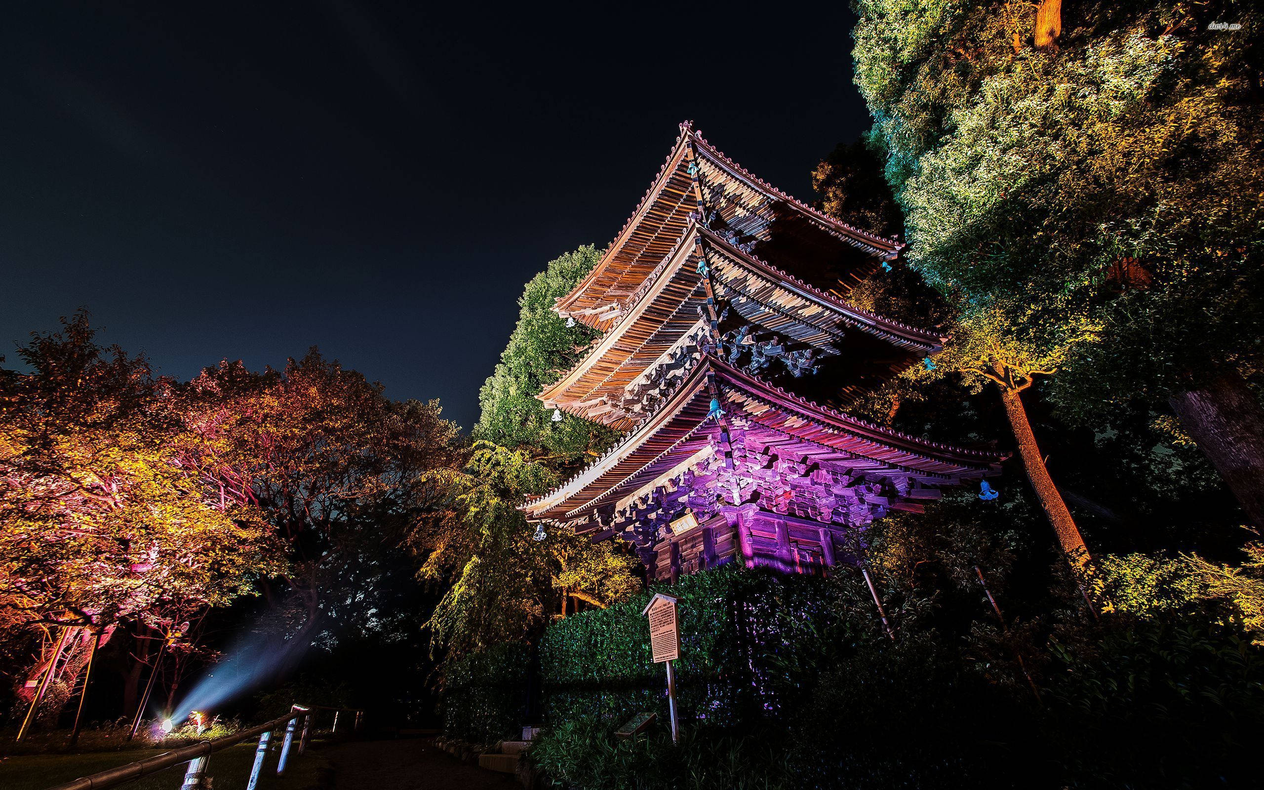 東京 桌布 壁紙 — 一座傳統日本寺廟在黑暗夜空下被紫色和金色燈光照亮，周圍環繞著樹木。