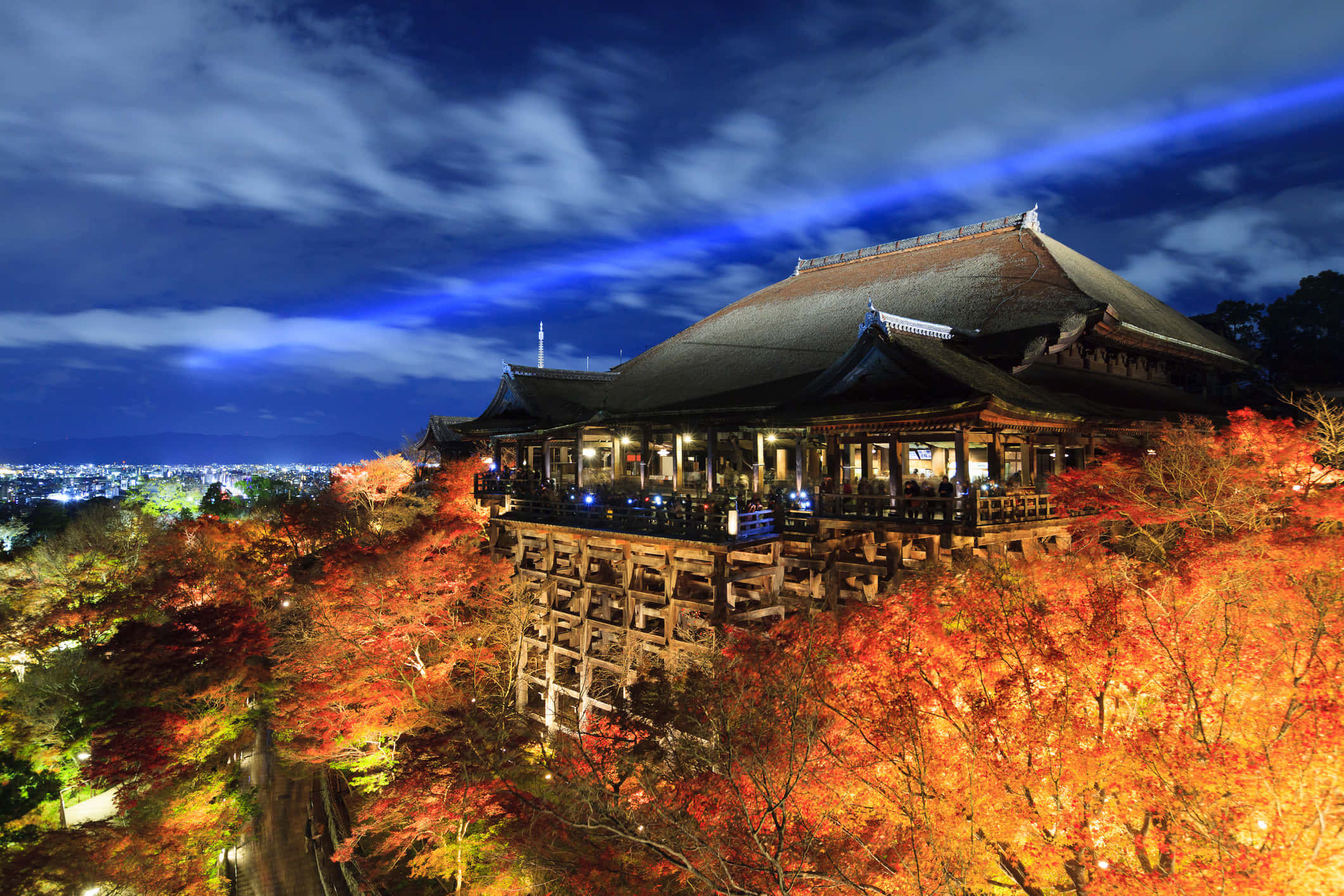 Light Up 桌布 壁紙 — 一座傳統日本寺廟坐落在山頂上，周圍環繞著鮮豔的秋葉，在深藍色的夜空下。