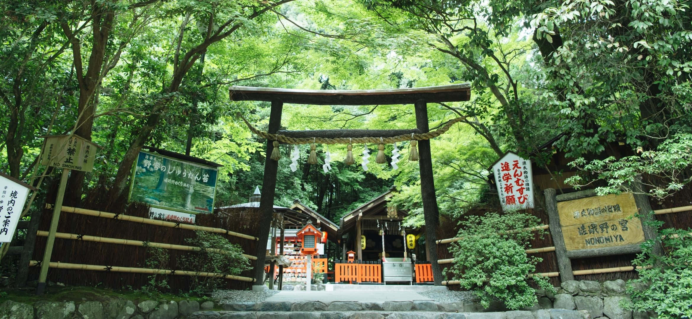 2340x1080 桌布 壁紙 — 一座傳統木製鳥居矗立在茂密的綠色森林中，通往一個帶有石階和竹柵欄的寧靜日本神社。